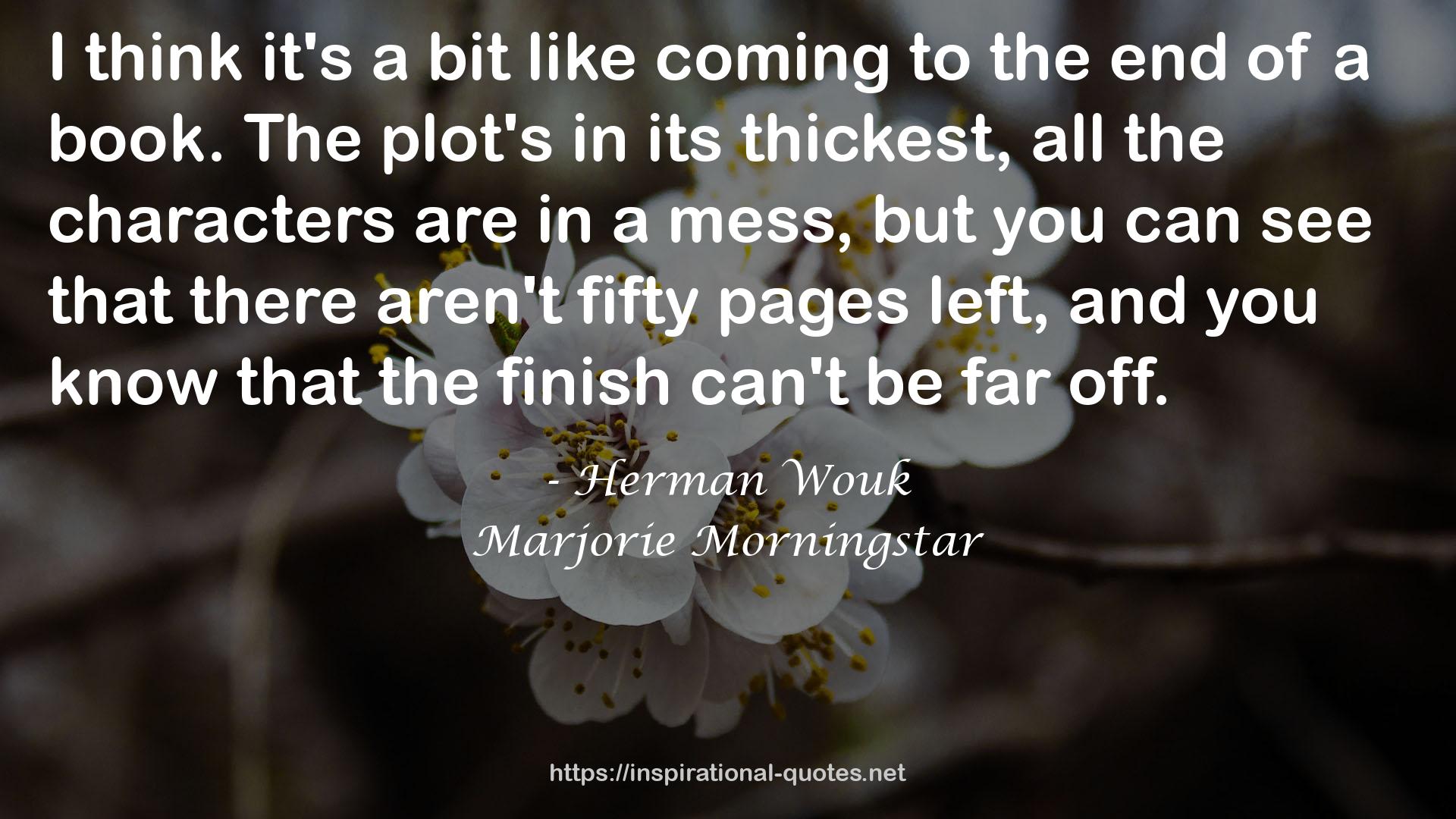 Marjorie Morningstar QUOTES