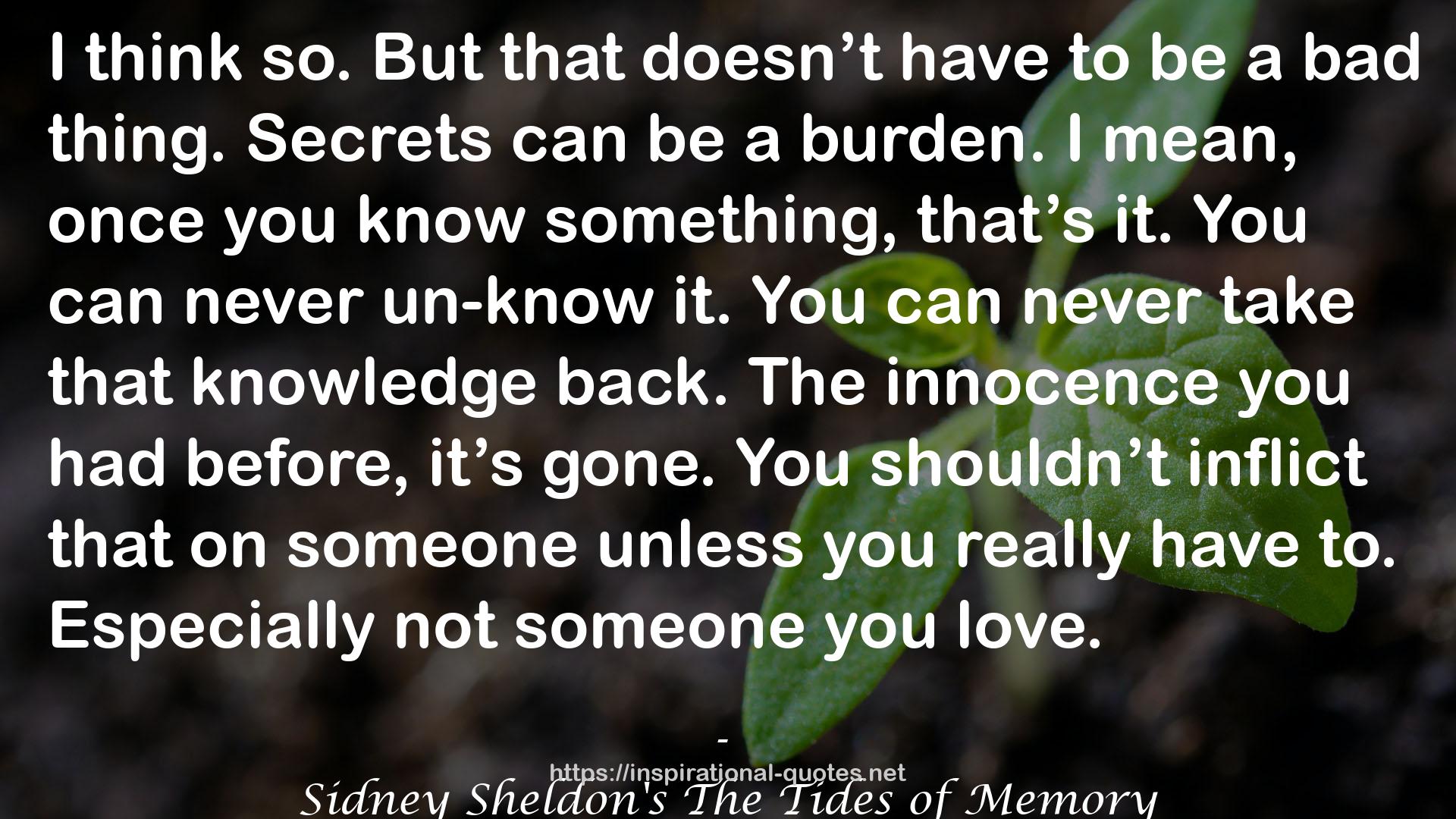 Sidney Sheldon's The Tides of Memory QUOTES