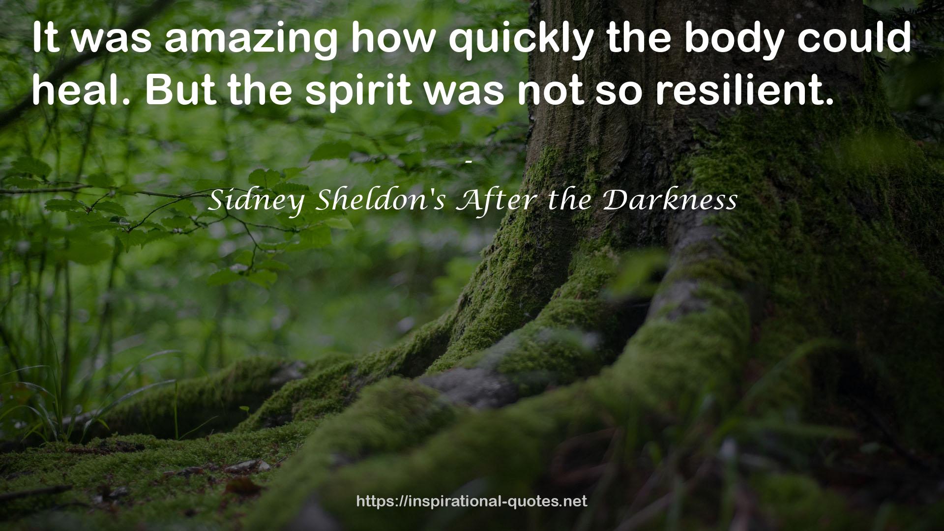 Sidney Sheldon's After the Darkness QUOTES