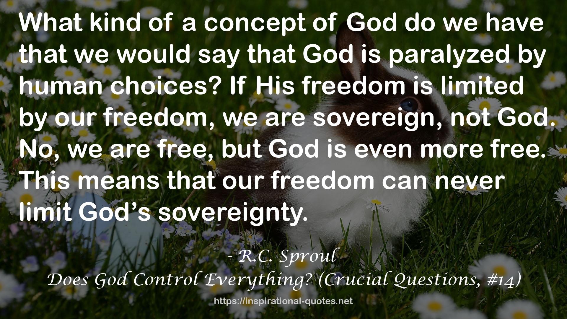 Does God Control Everything? (Crucial Questions, #14) QUOTES