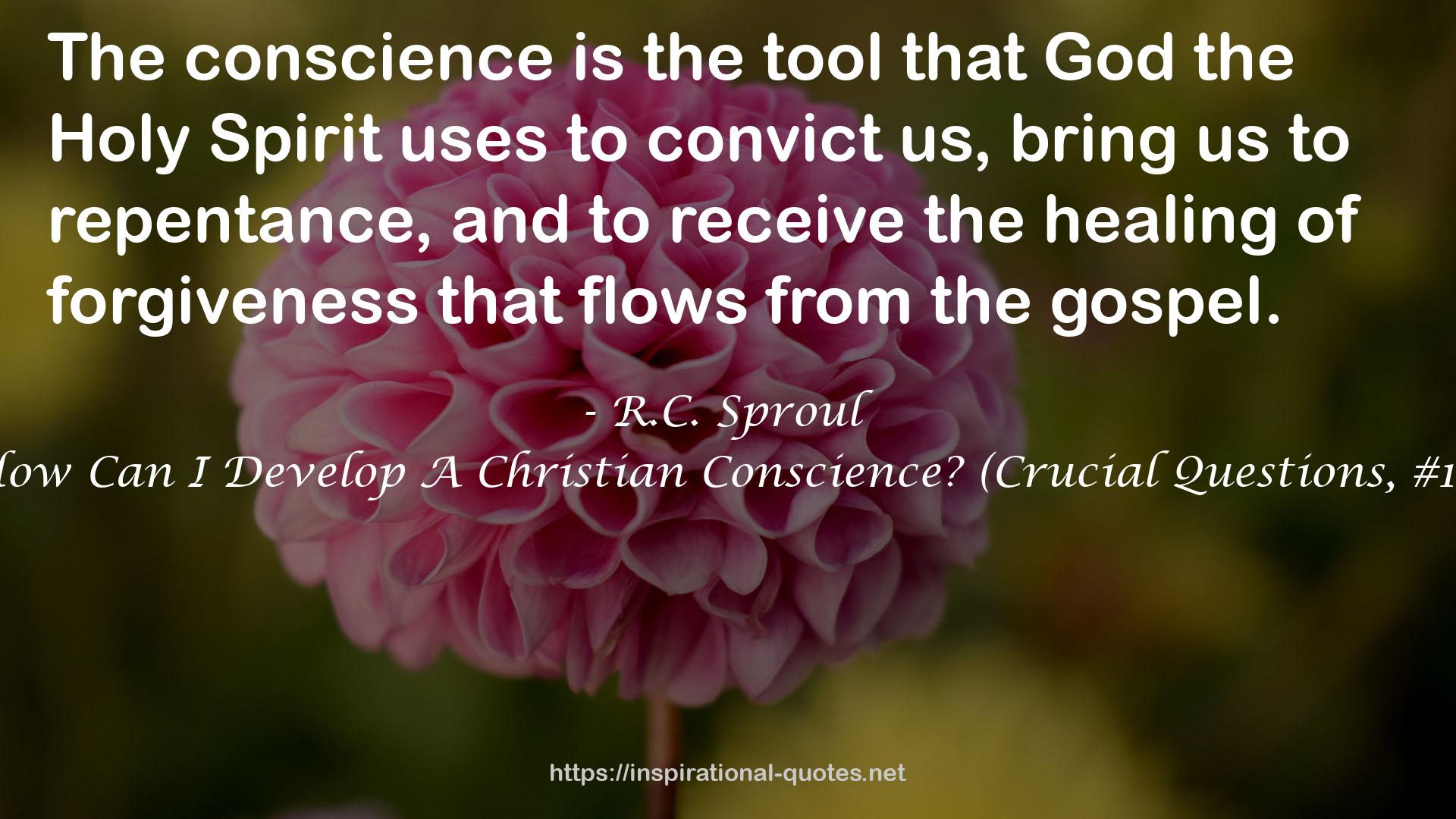 How Can I Develop A Christian Conscience? (Crucial Questions, #15) QUOTES
