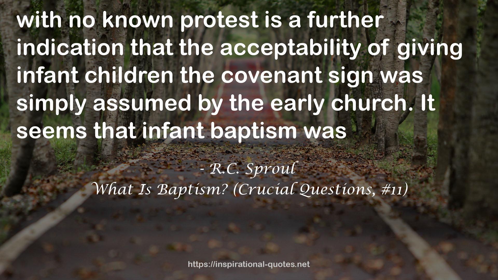 What Is Baptism? (Crucial Questions, #11) QUOTES