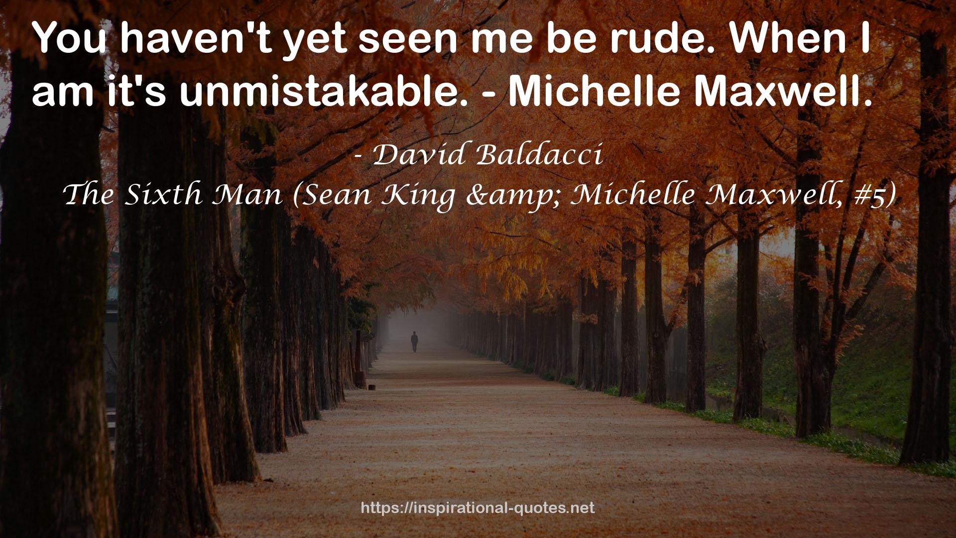 The Sixth Man (Sean King & Michelle Maxwell, #5) QUOTES
