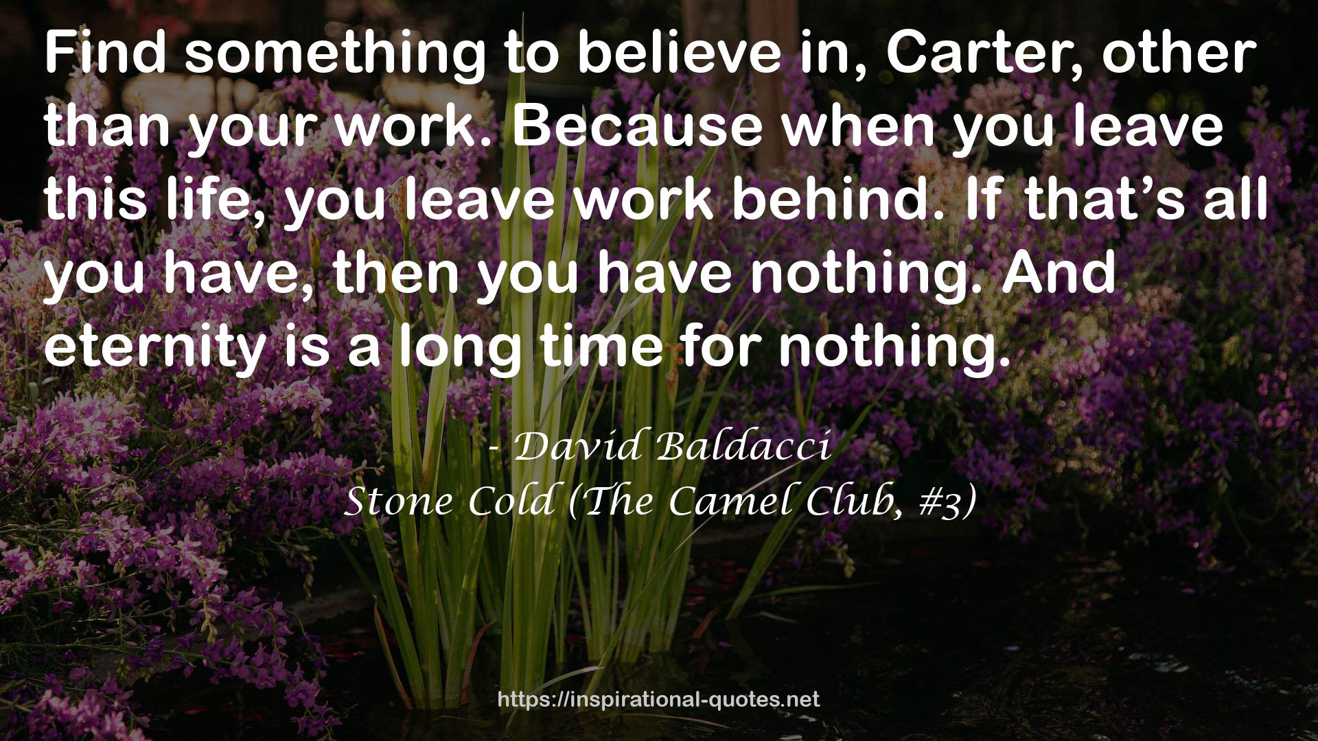 Stone Cold (The Camel Club, #3) QUOTES