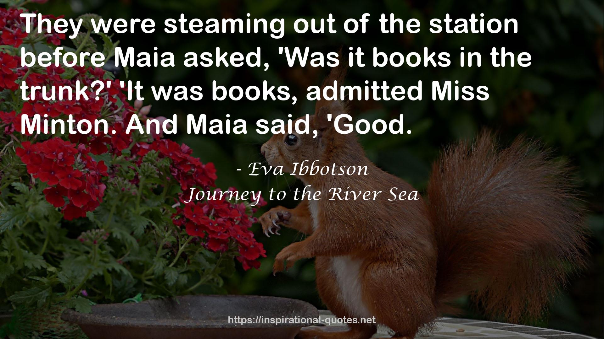 Journey to the River Sea QUOTES