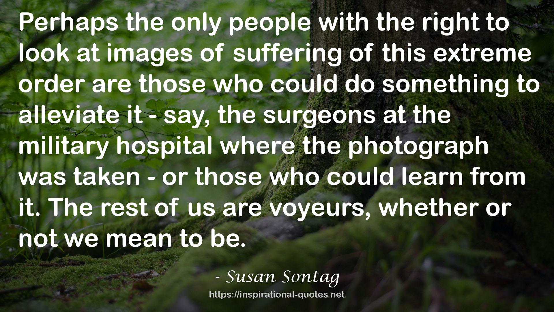 the photograph  QUOTES
