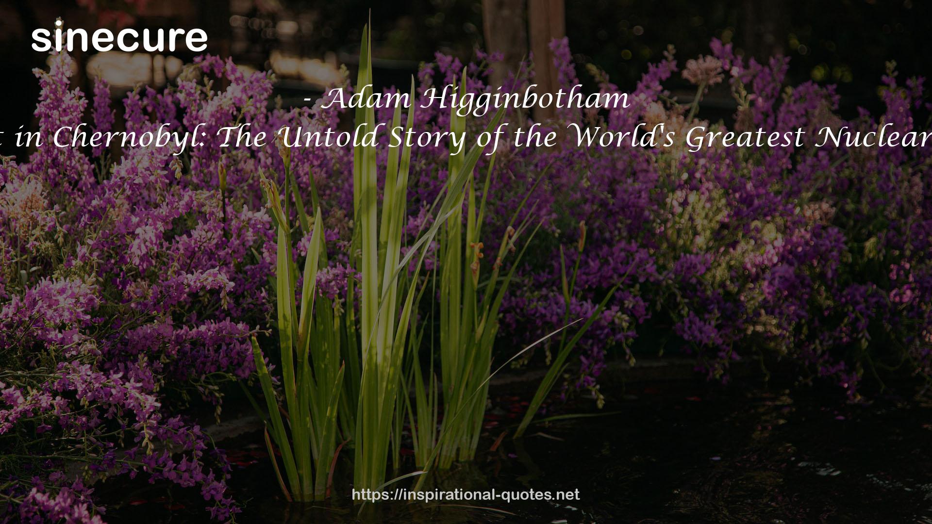 Adam Higginbotham QUOTES