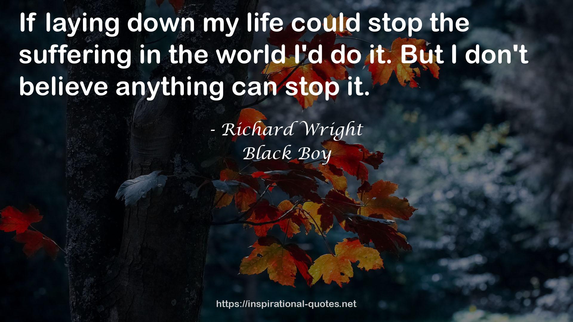 Richard Wright QUOTES