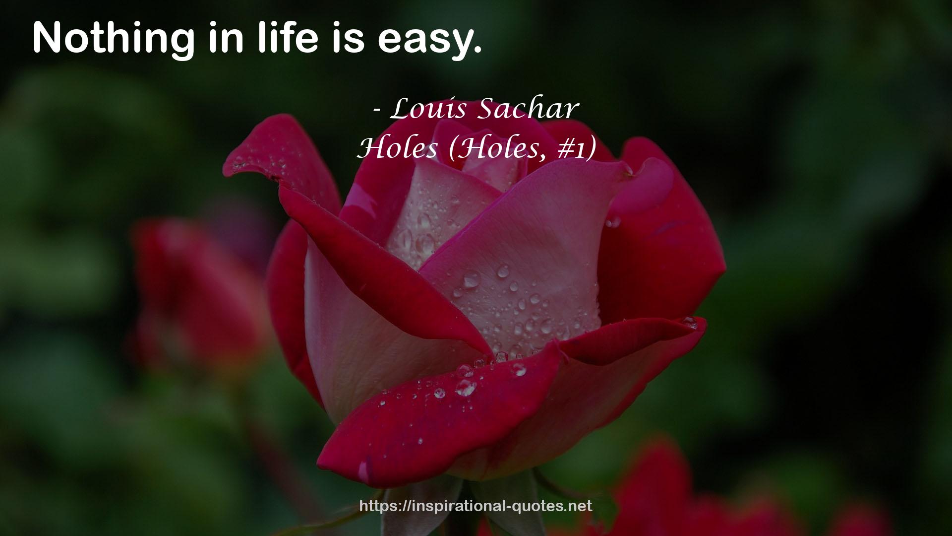 Louis Sachar QUOTES