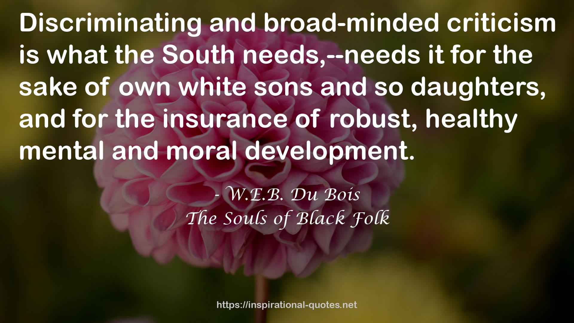 W.E.B. Du Bois QUOTES