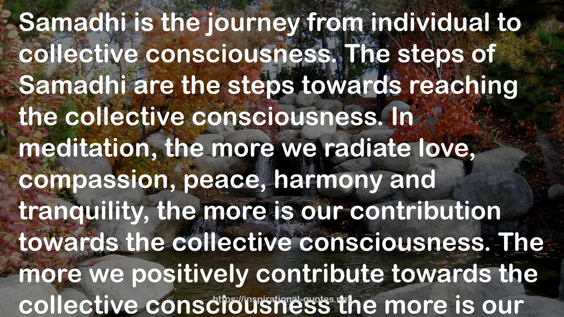 collective consciousness  QUOTES
