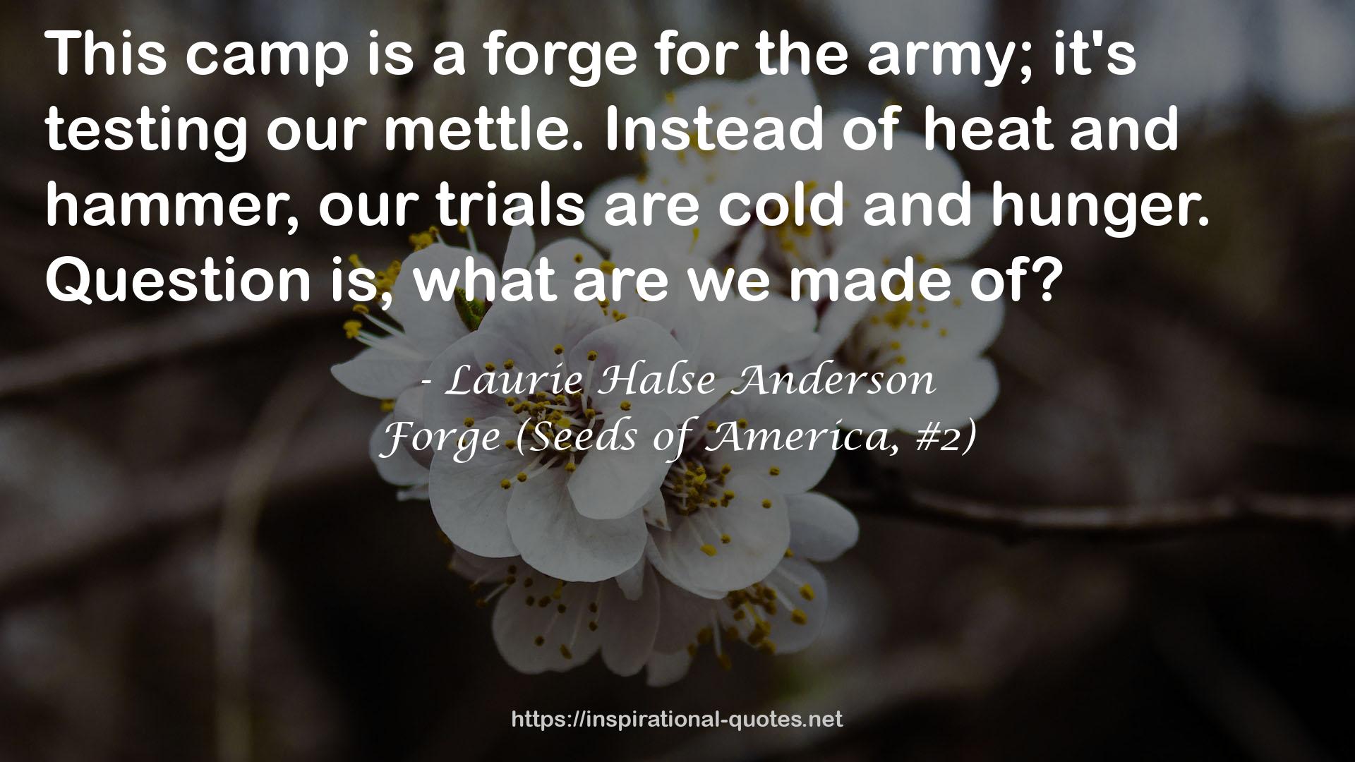 Forge (Seeds of America, #2) QUOTES