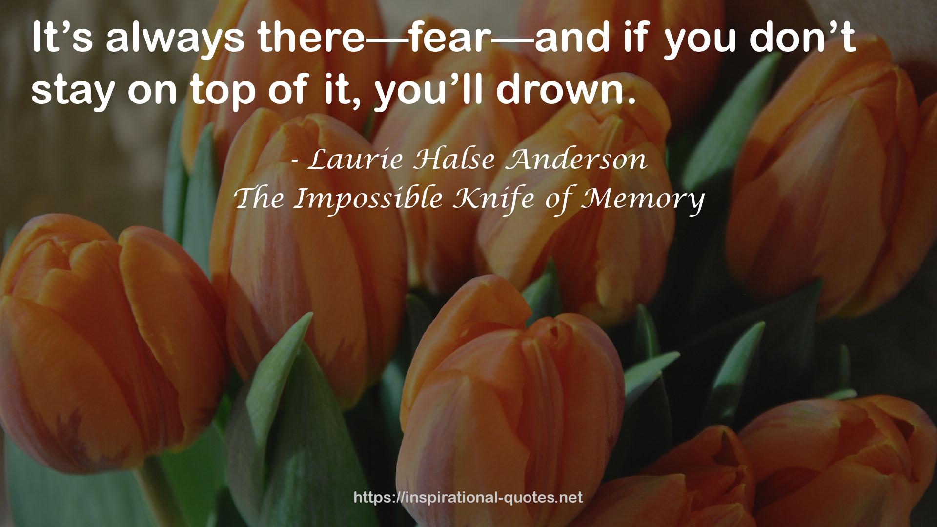 The Impossible Knife of Memory QUOTES