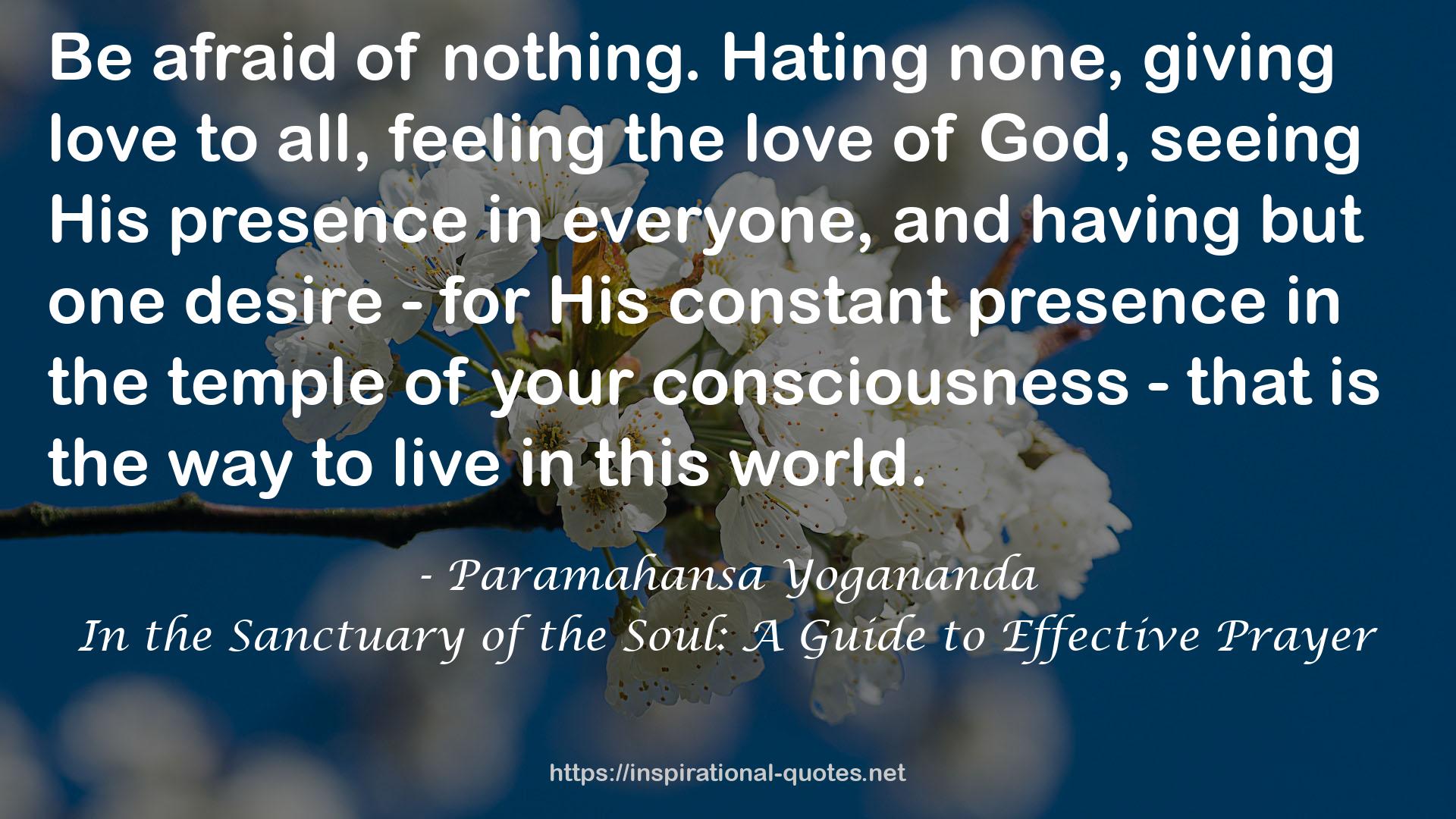 In the Sanctuary of the Soul: A Guide to Effective Prayer QUOTES