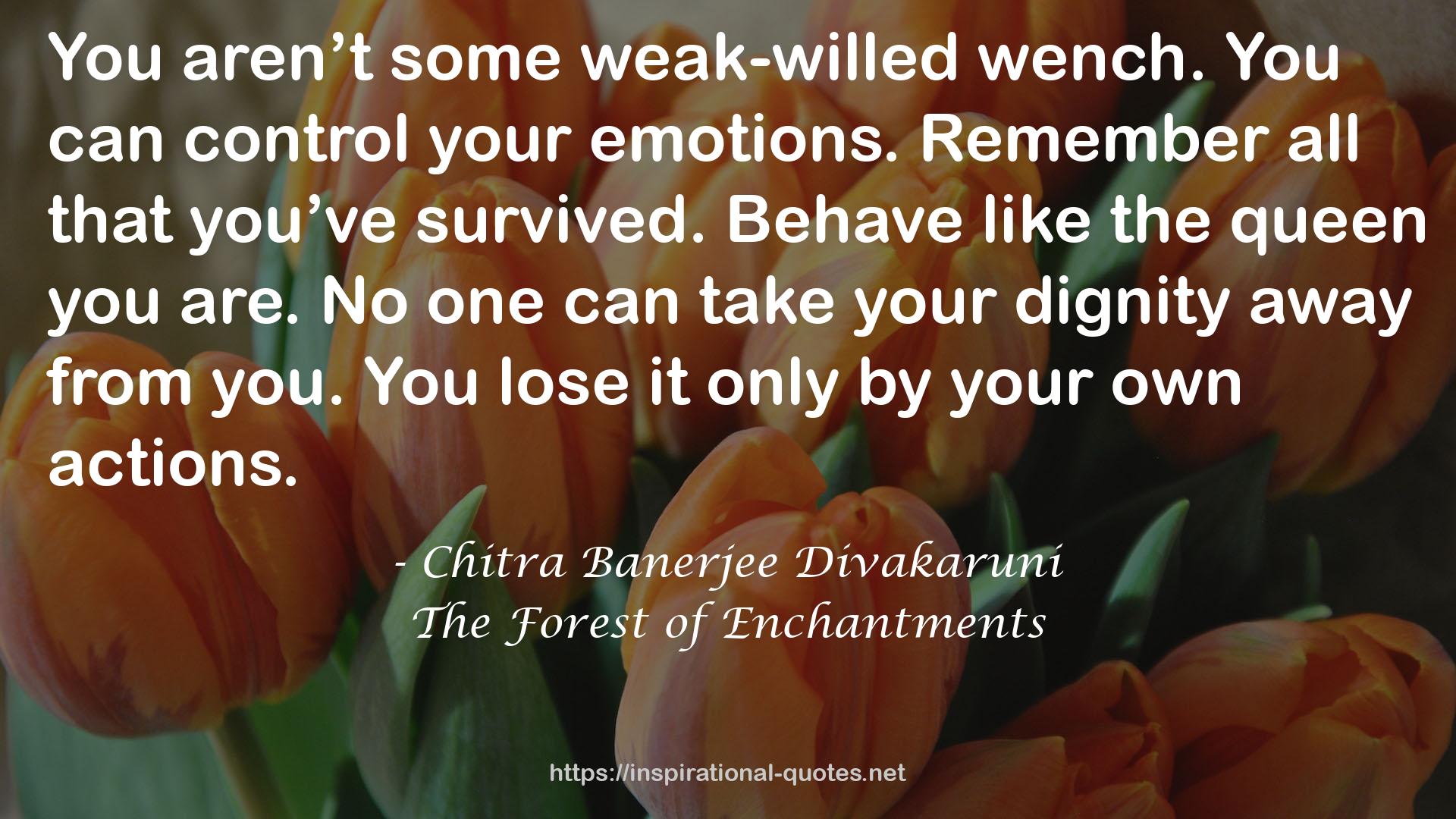 The Forest of Enchantments QUOTES