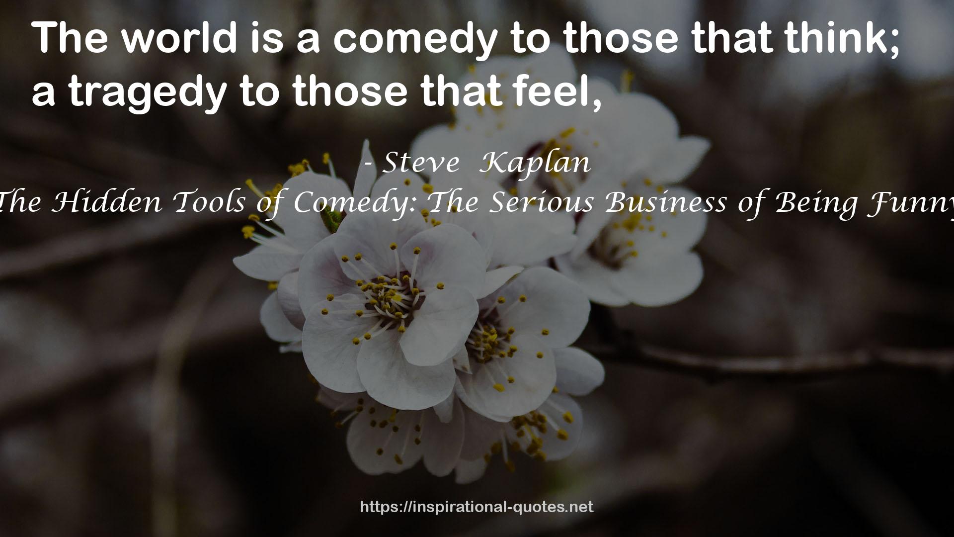 Steve  Kaplan QUOTES