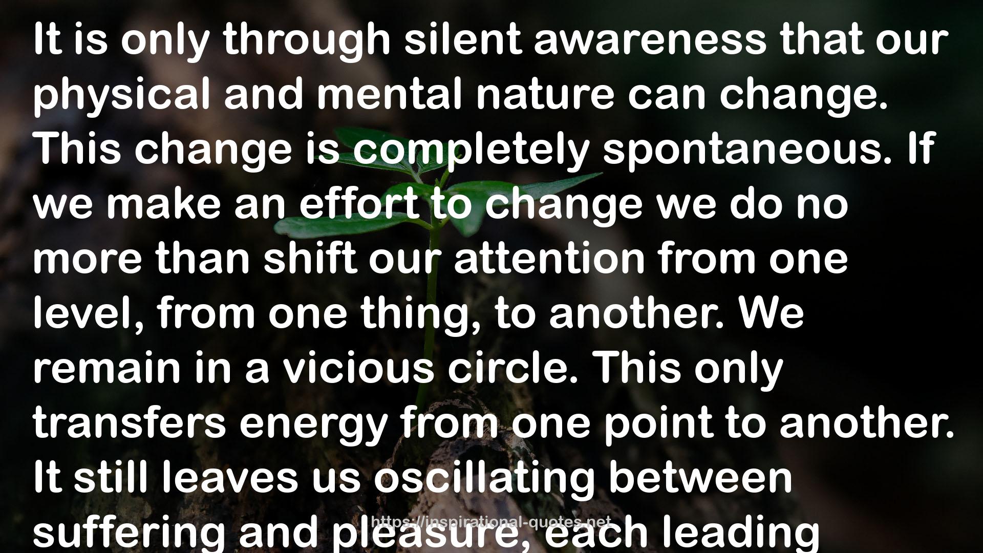 silent awareness  QUOTES