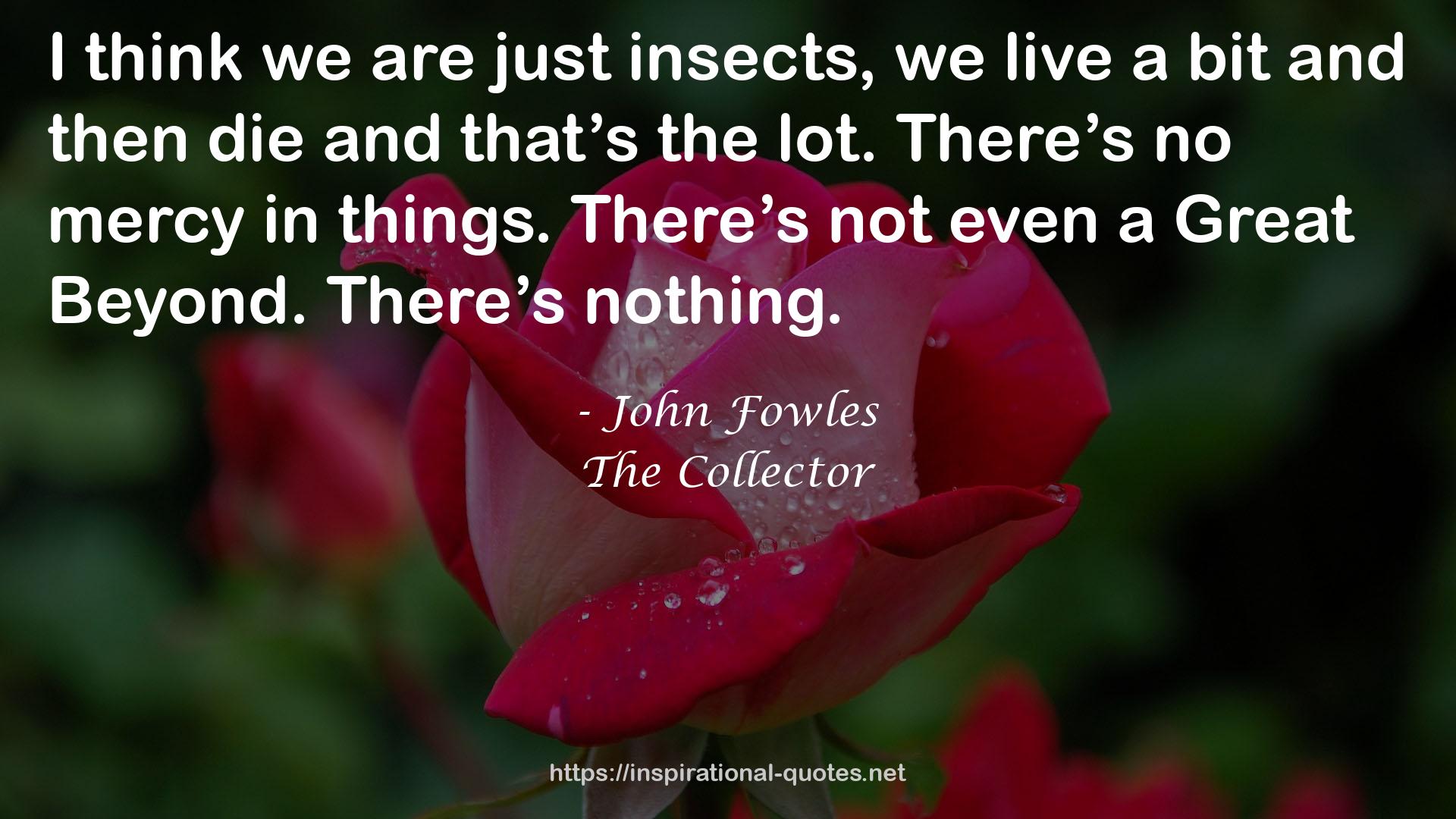 John Fowles QUOTES