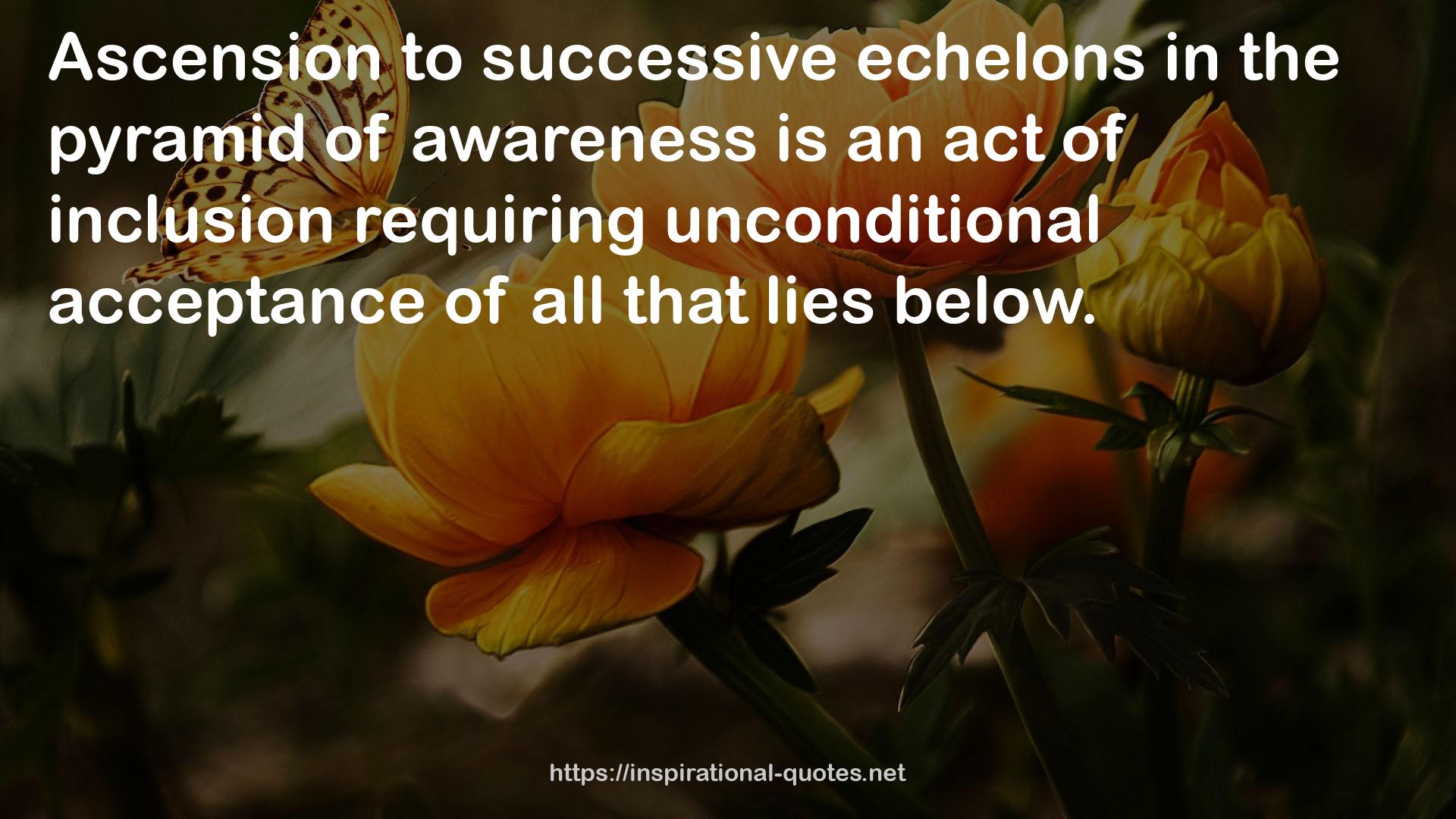 successive echelons  QUOTES