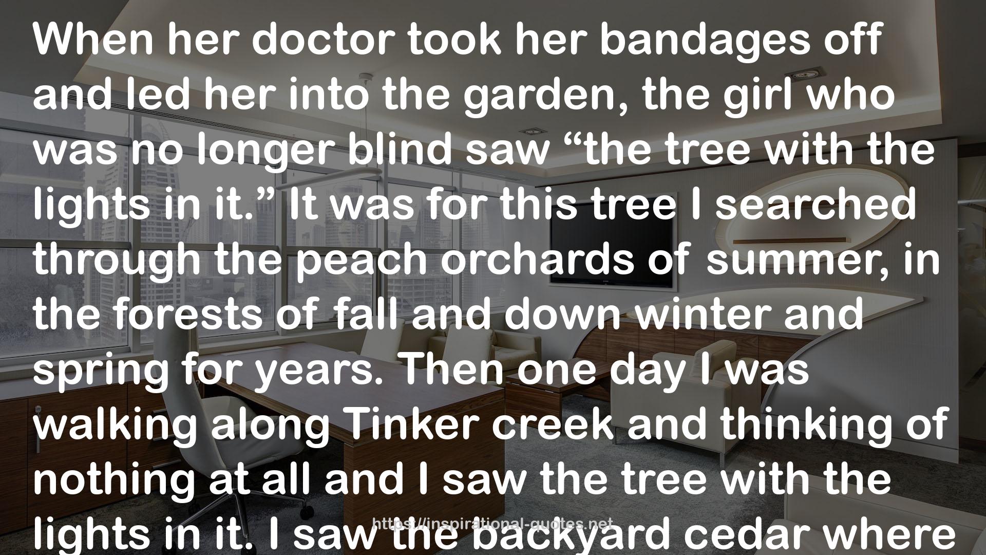 Tinker Creek  QUOTES