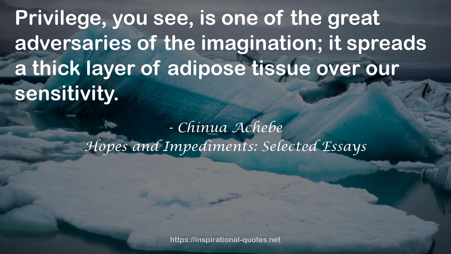 Hopes and Impediments: Selected Essays QUOTES