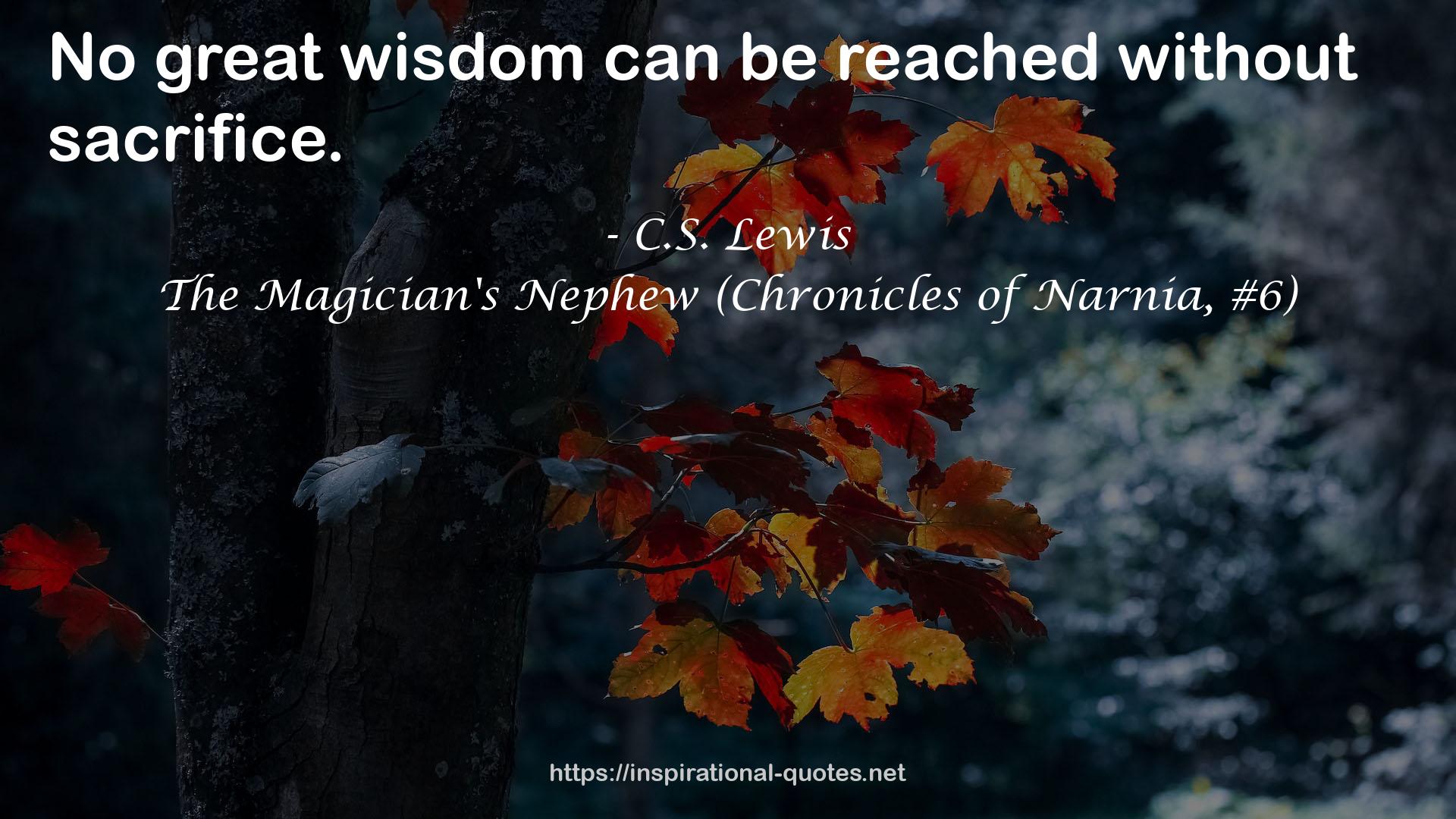 The Magician's Nephew (Chronicles of Narnia, #6) QUOTES