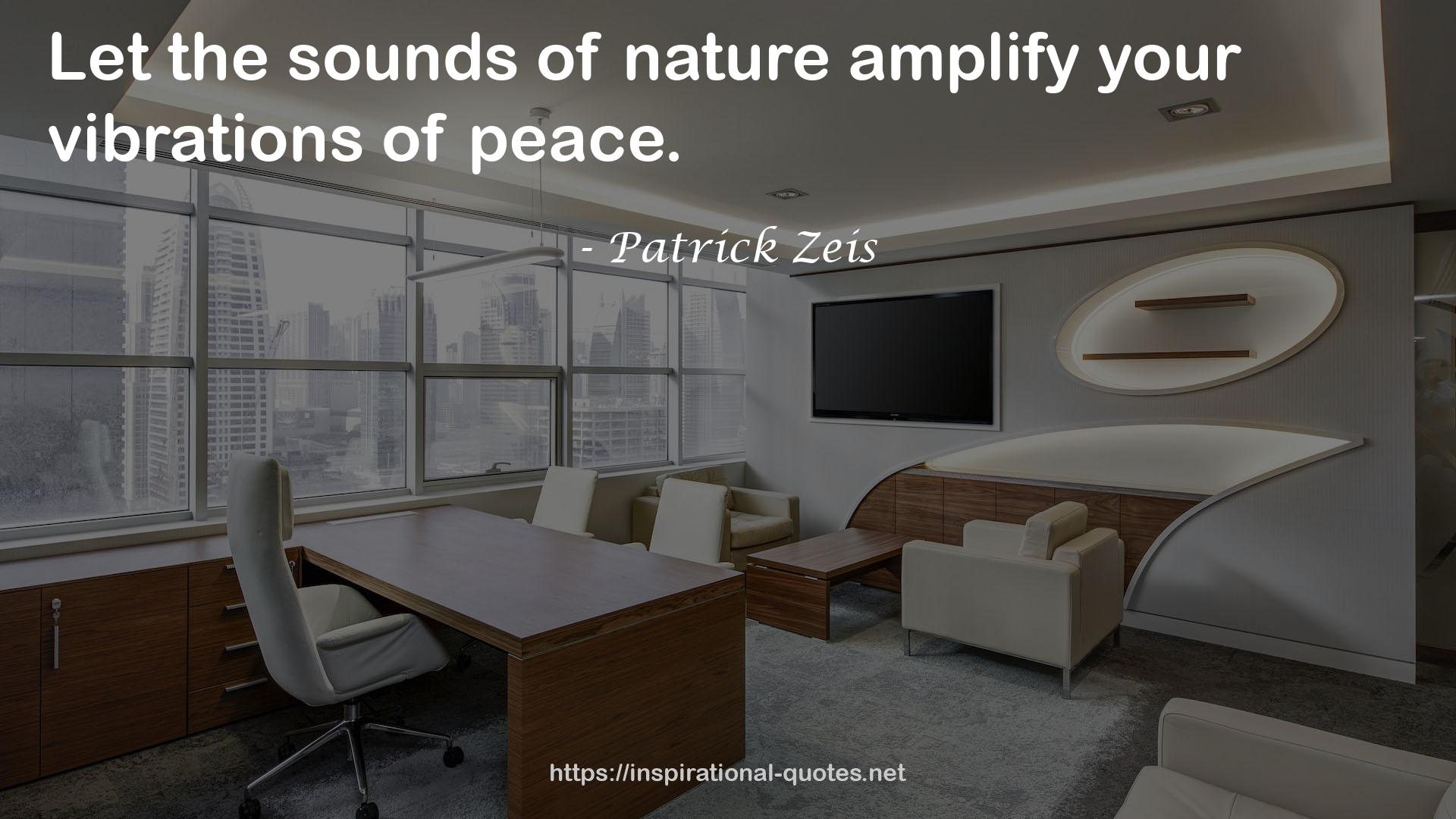 Patrick Zeis QUOTES