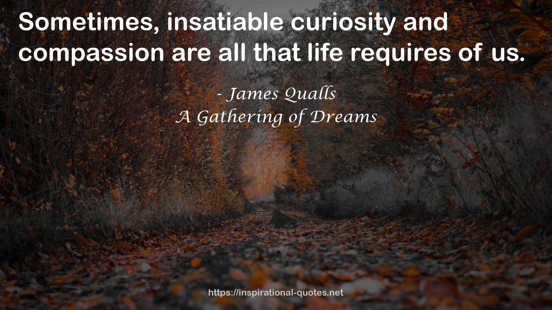 insatiable curiosity  QUOTES