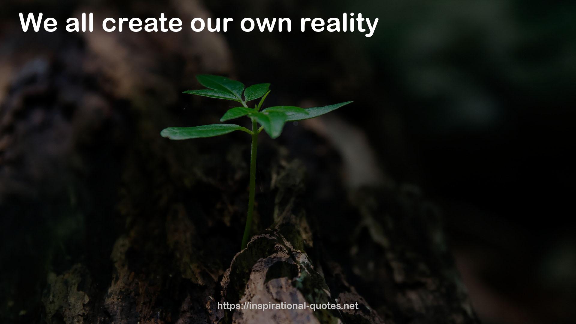 our own reality  QUOTES