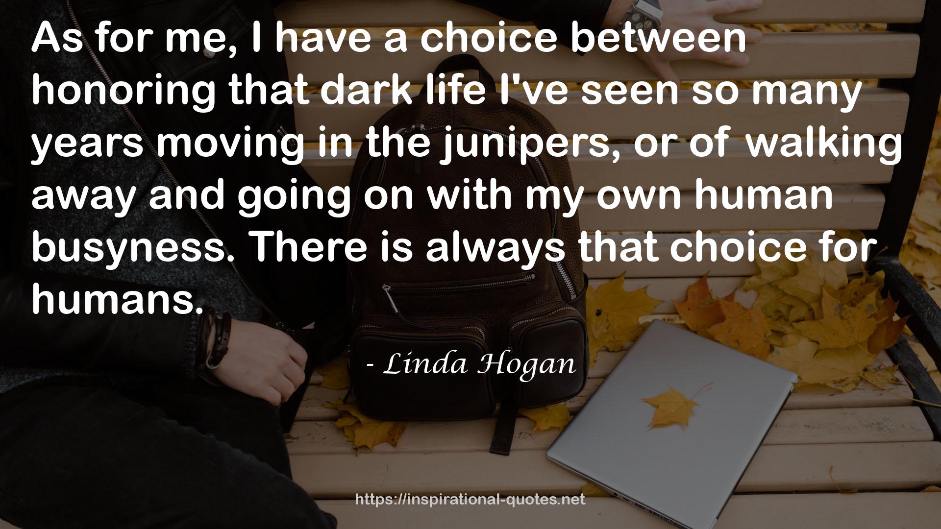 Linda Hogan QUOTES