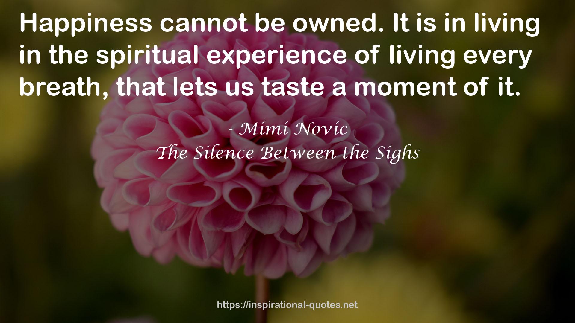 the spiritual experience  QUOTES