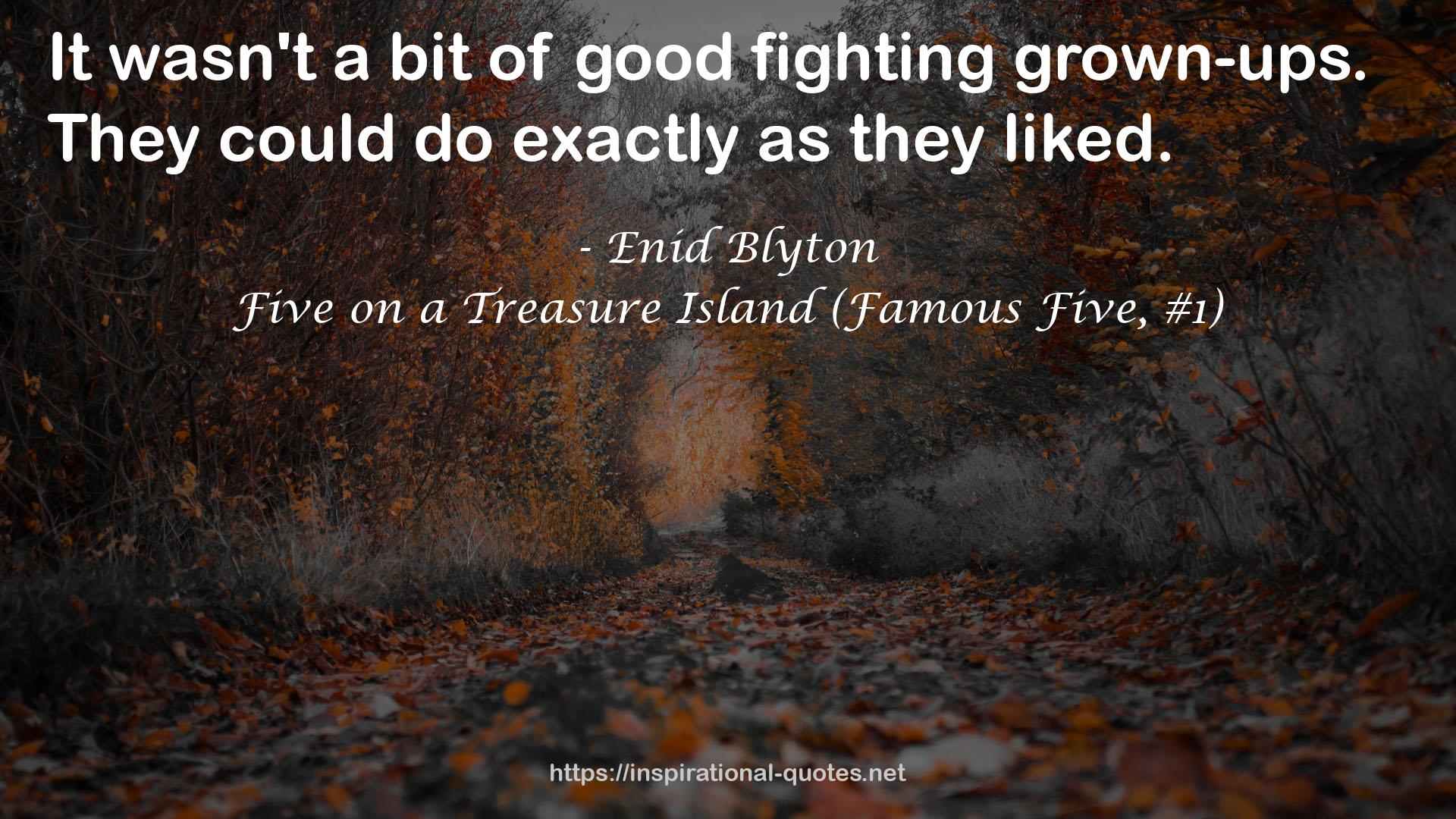 Five on a Treasure Island (Famous Five, #1) QUOTES
