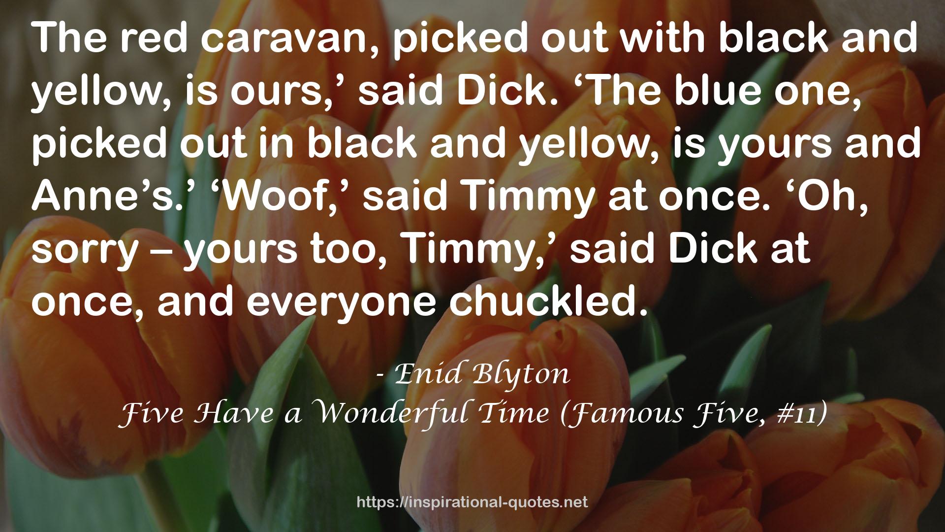 Five Have a Wonderful Time (Famous Five, #11) QUOTES