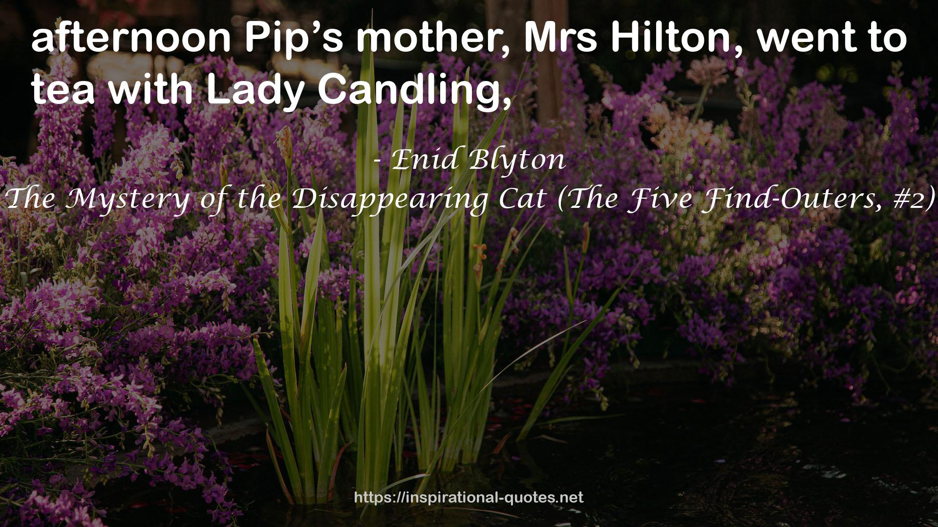The Mystery of the Disappearing Cat (The Five Find-Outers, #2) QUOTES