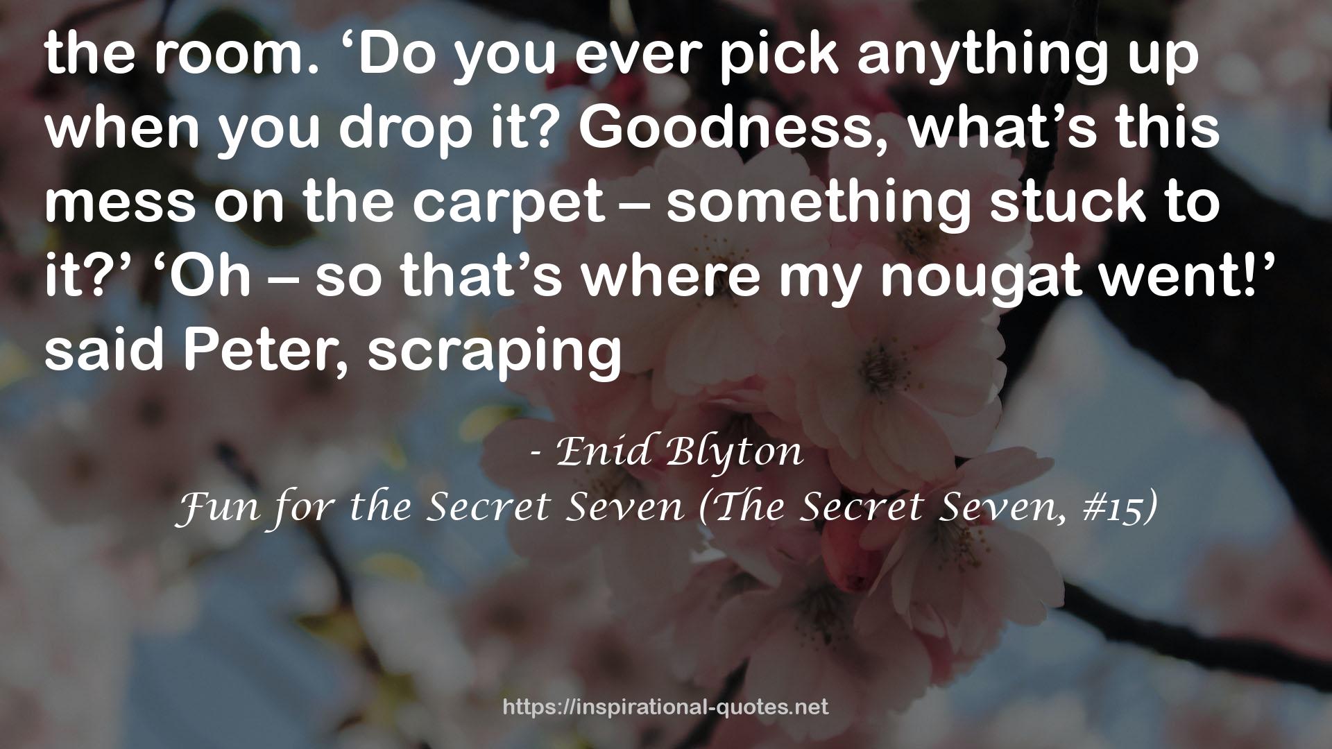 Fun for the Secret Seven (The Secret Seven, #15) QUOTES