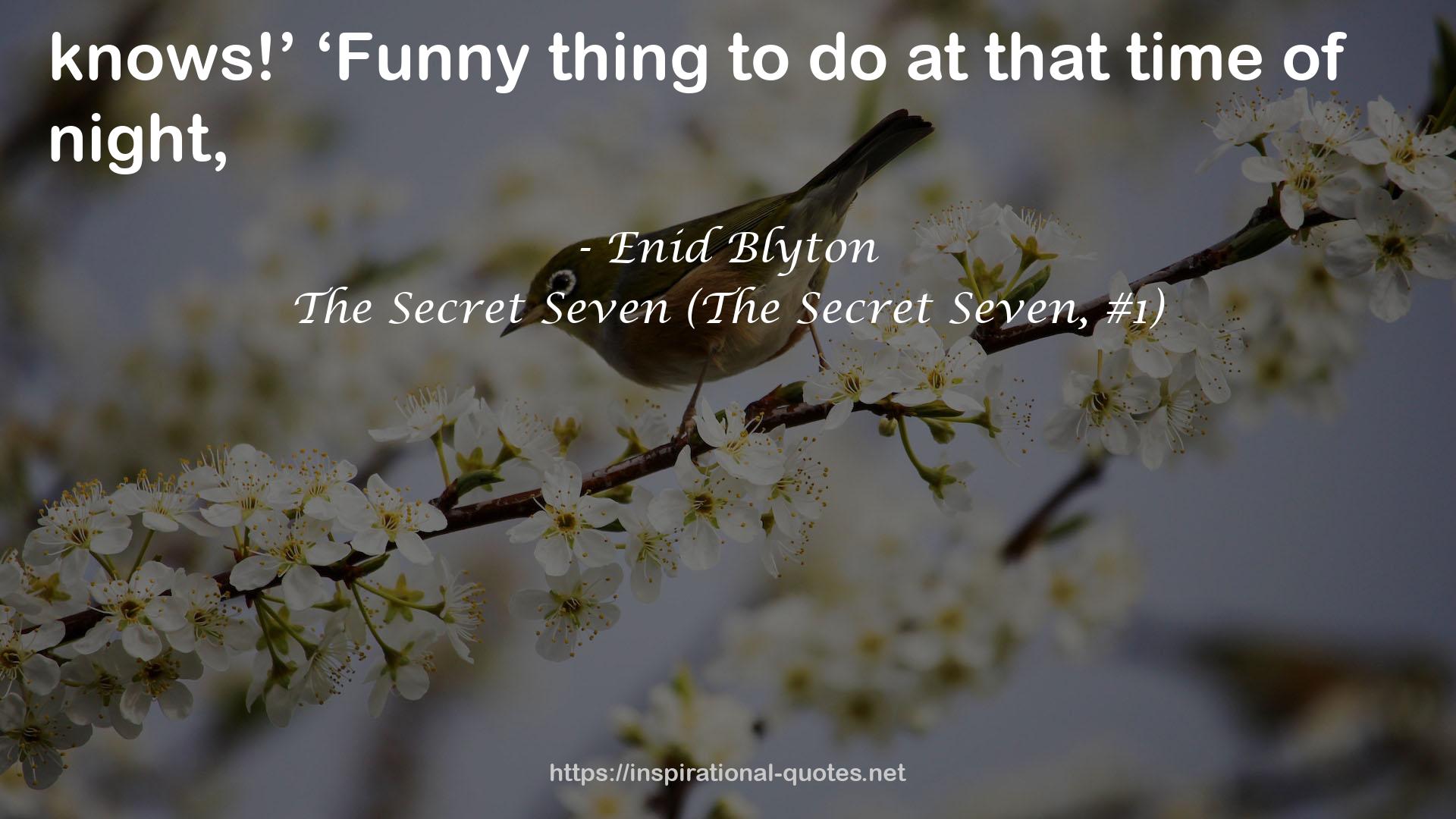 The Secret Seven (The Secret Seven, #1) QUOTES