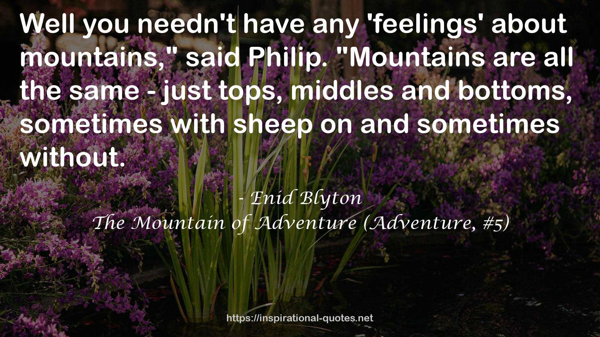 The Mountain of Adventure (Adventure, #5) QUOTES