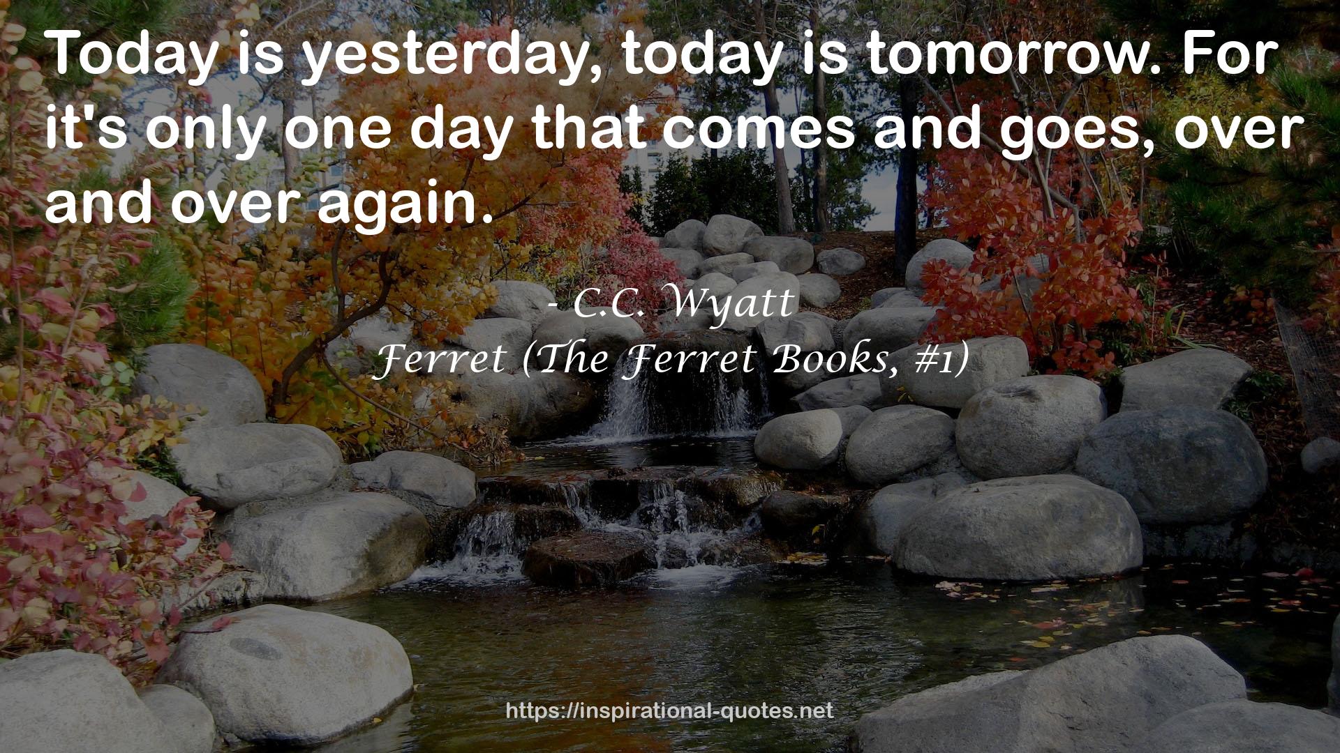 Ferret (The Ferret Books, #1) QUOTES