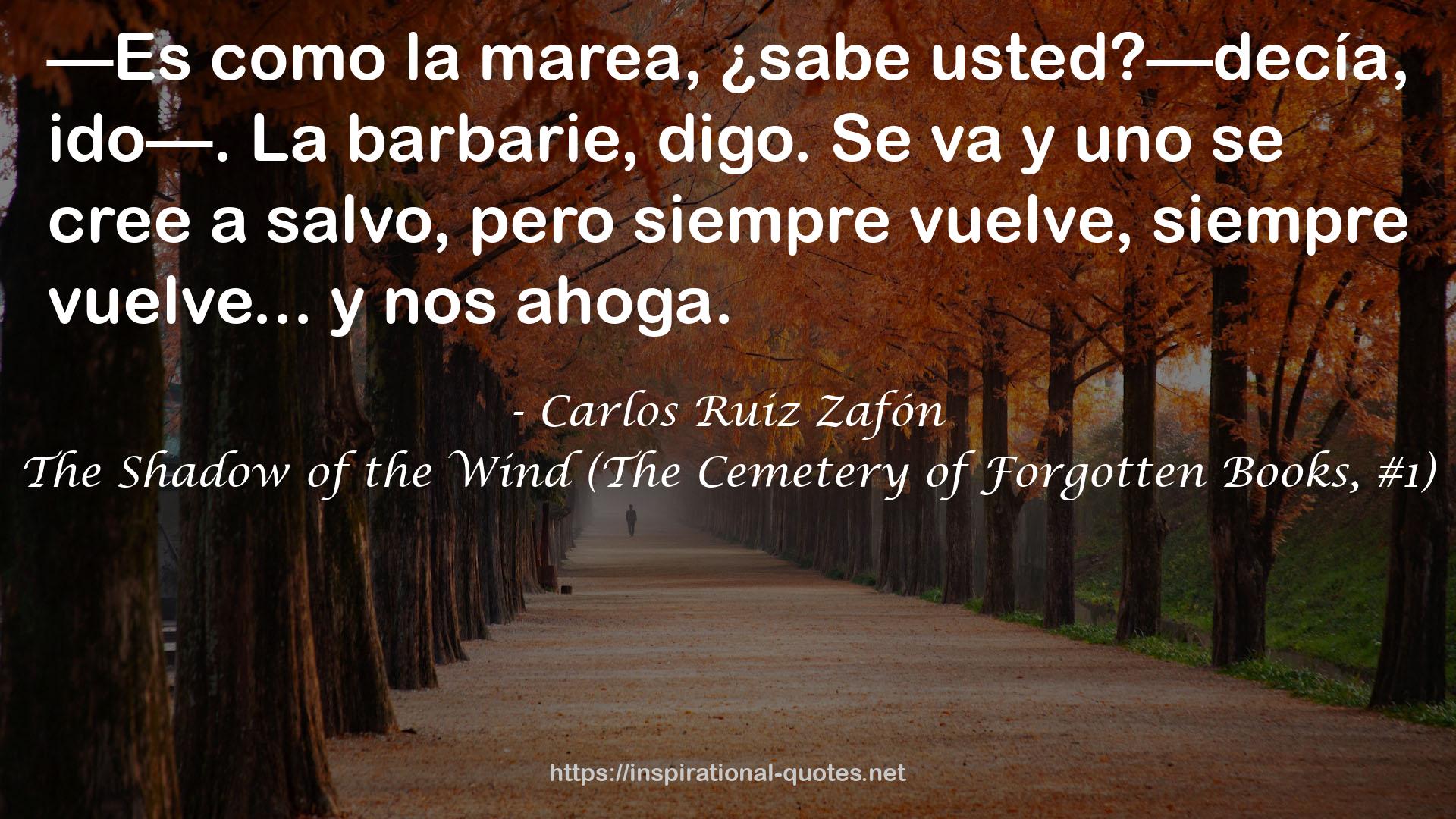 The Shadow of the Wind (The Cemetery of Forgotten Books, #1) QUOTES