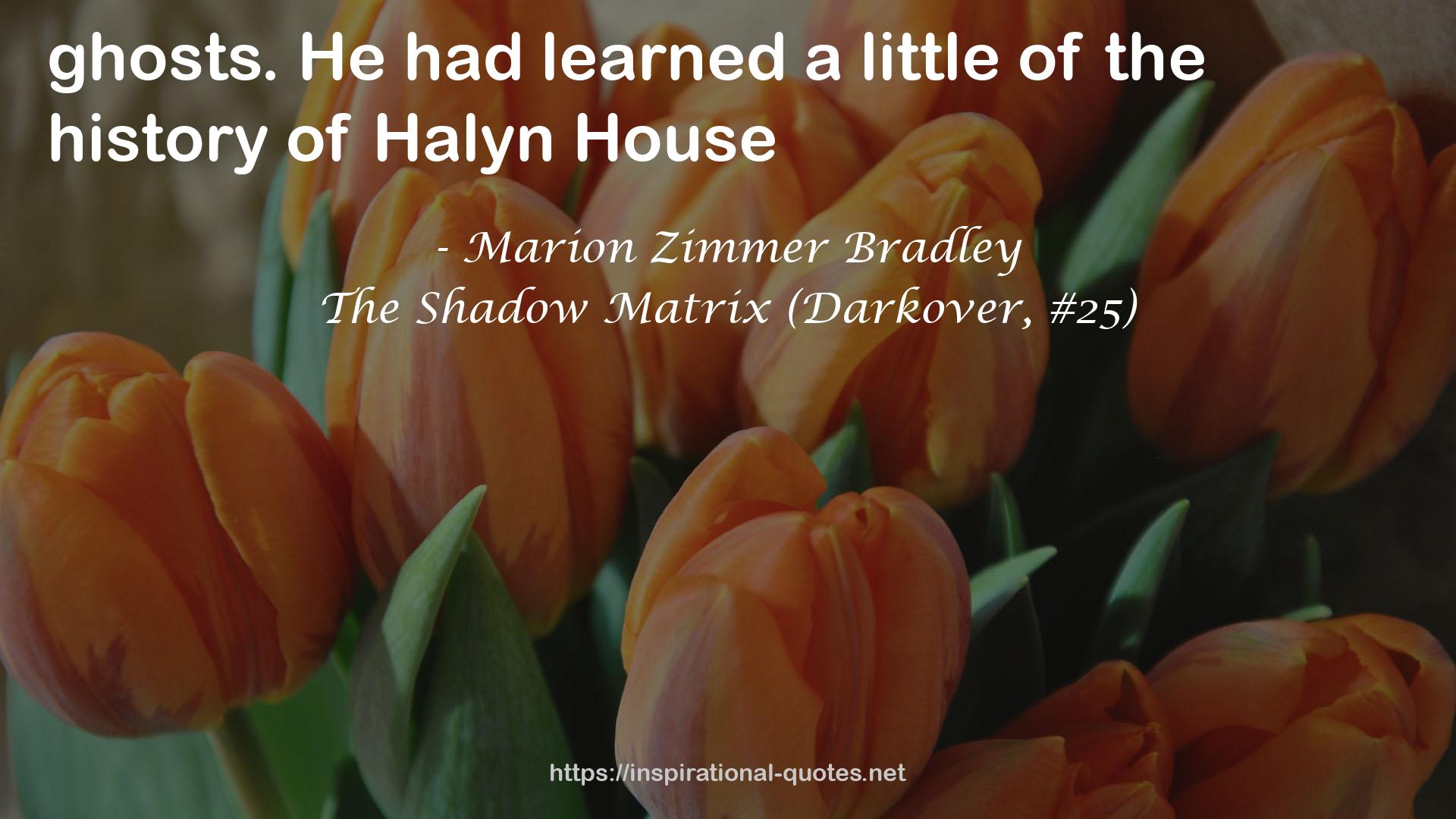 The Shadow Matrix (Darkover, #25) QUOTES