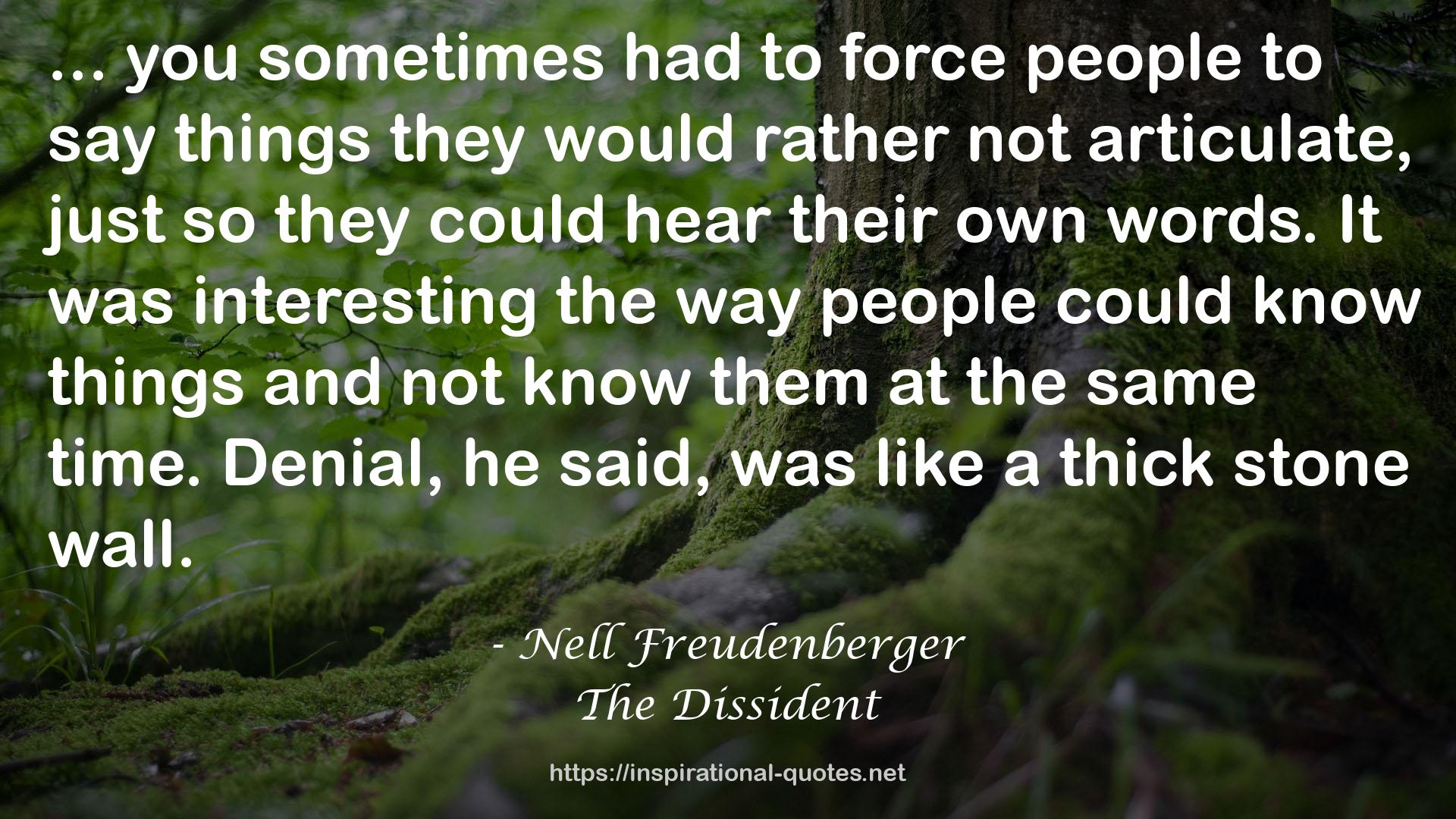 Nell Freudenberger QUOTES