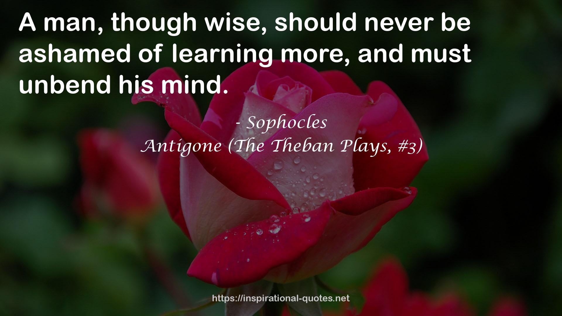 Antigone (The Theban Plays, #3) QUOTES