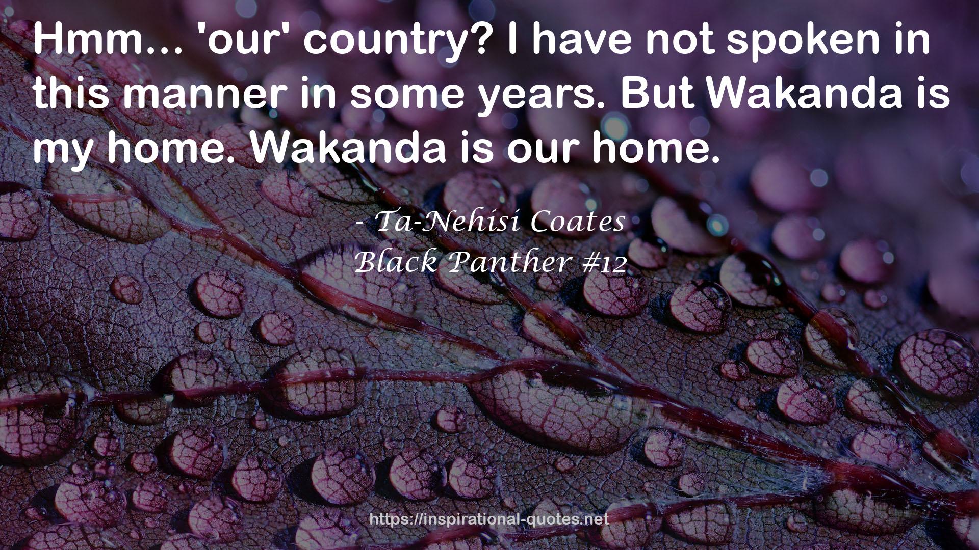 Black Panther #12 QUOTES