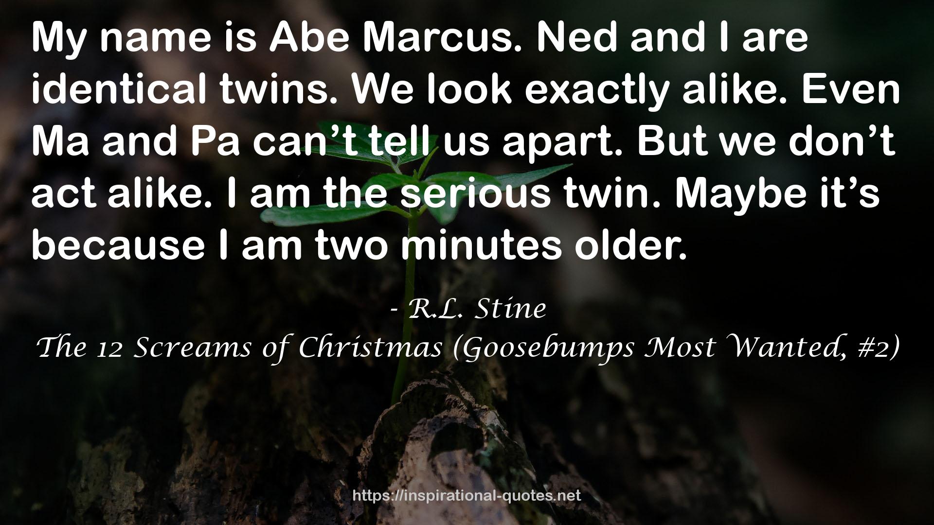 The 12 Screams of Christmas (Goosebumps Most Wanted, #2) QUOTES