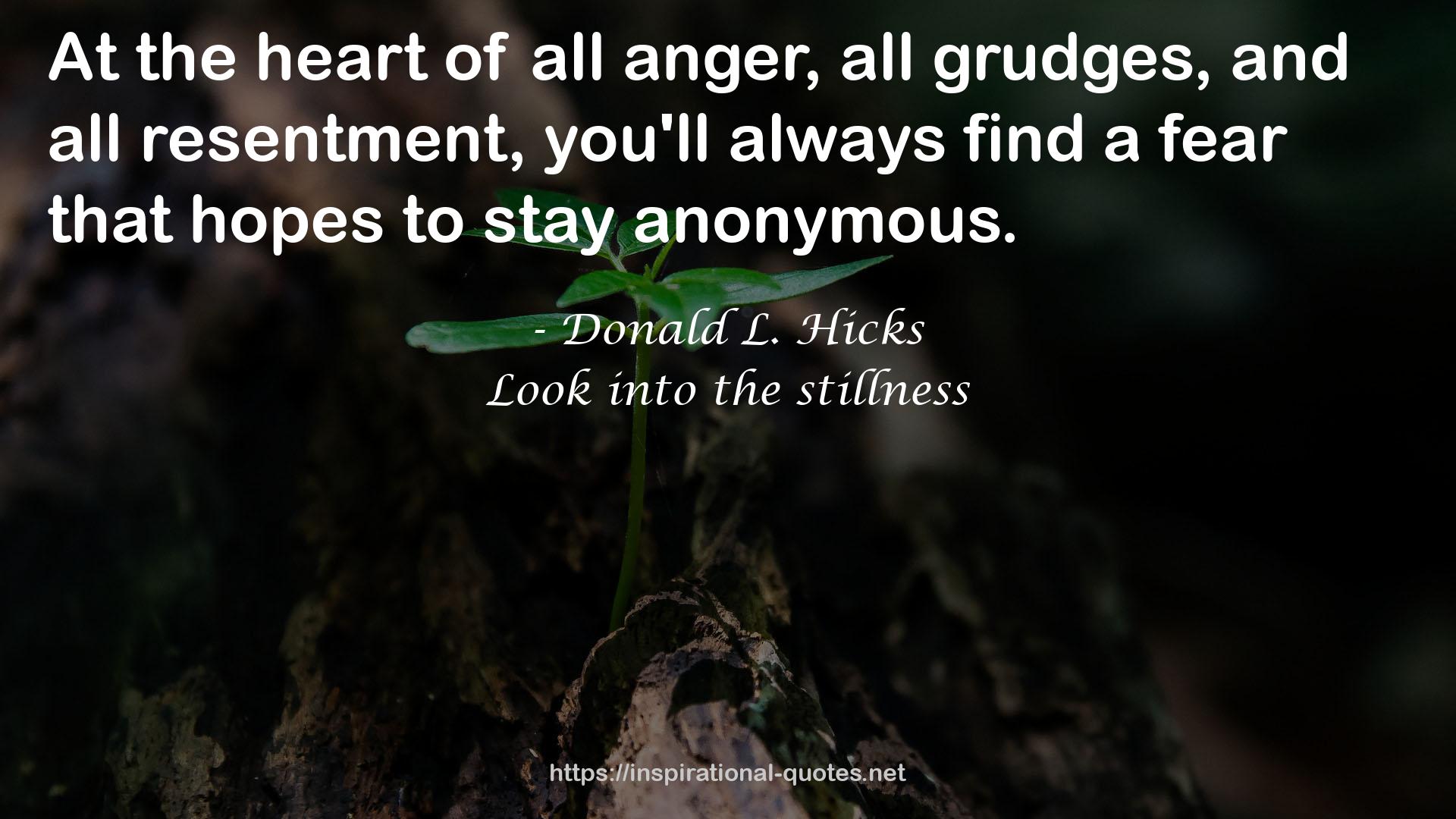 Look into the stillness QUOTES