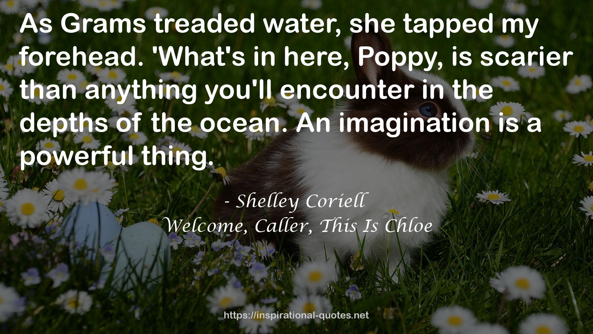 Shelley Coriell QUOTES