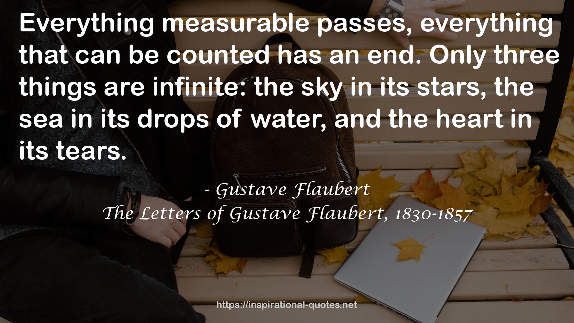 The Letters of Gustave Flaubert, 1830-1857 QUOTES