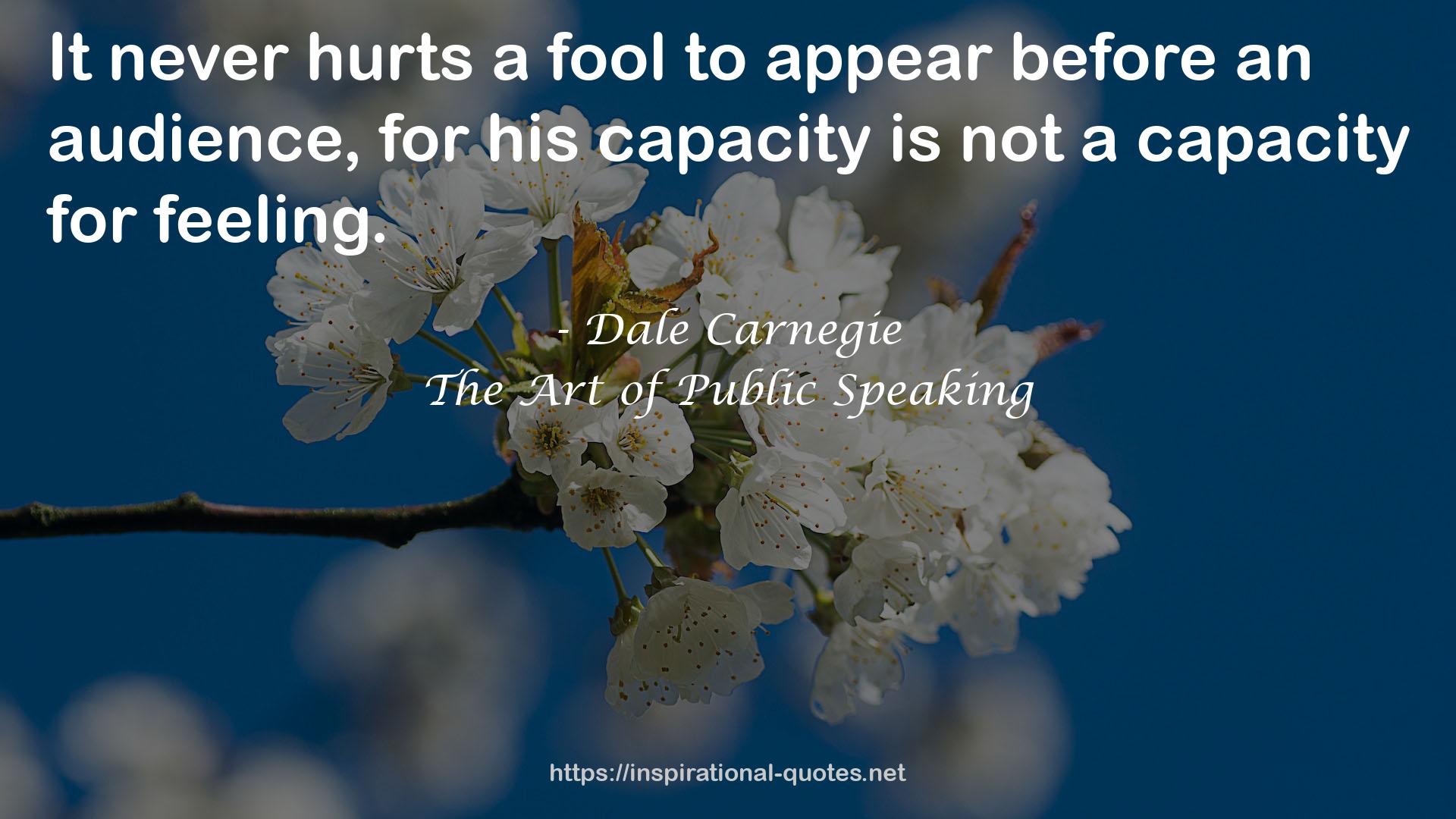 The Art of Public Speaking QUOTES