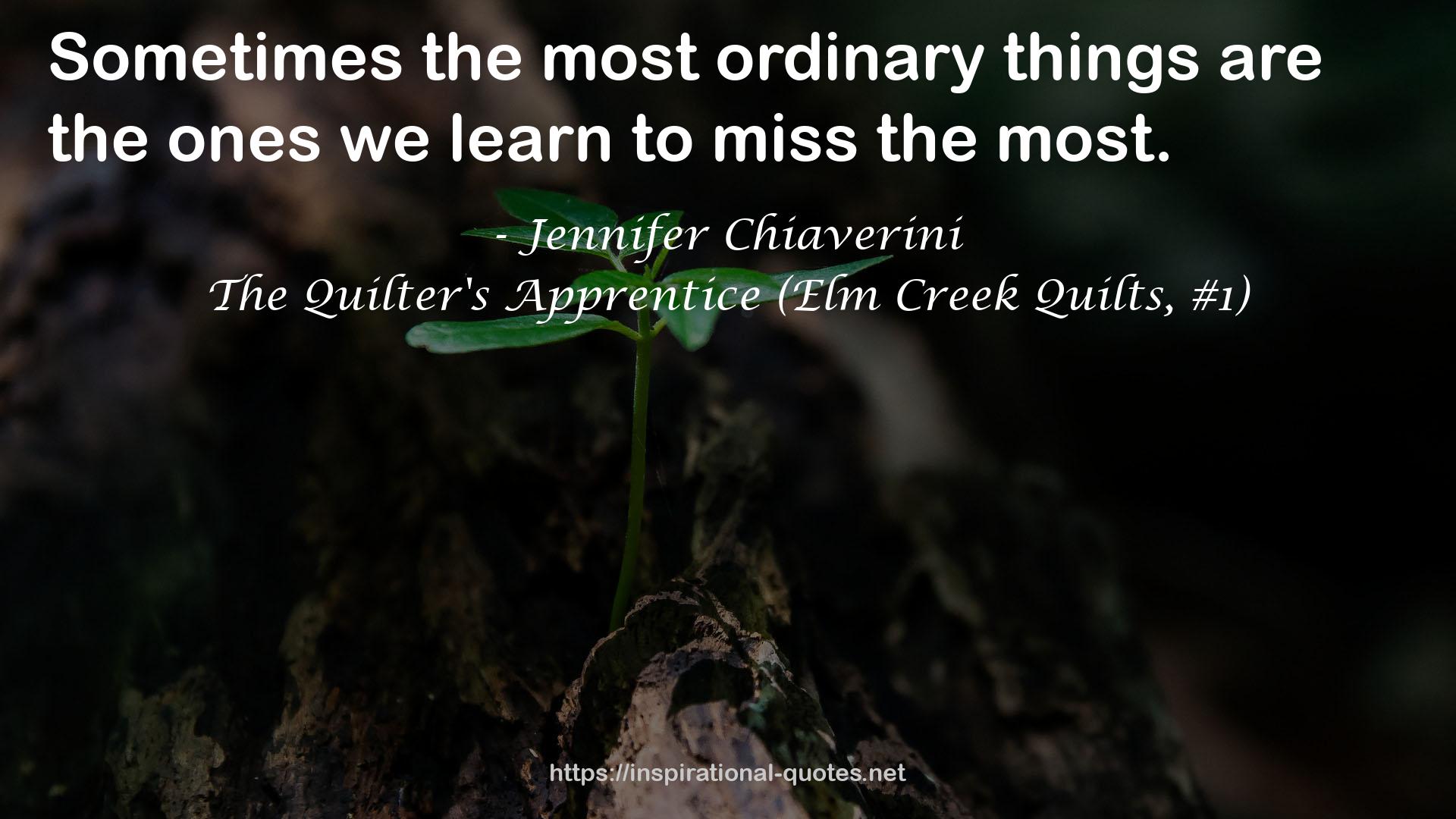 The Quilter's Apprentice (Elm Creek Quilts, #1) QUOTES