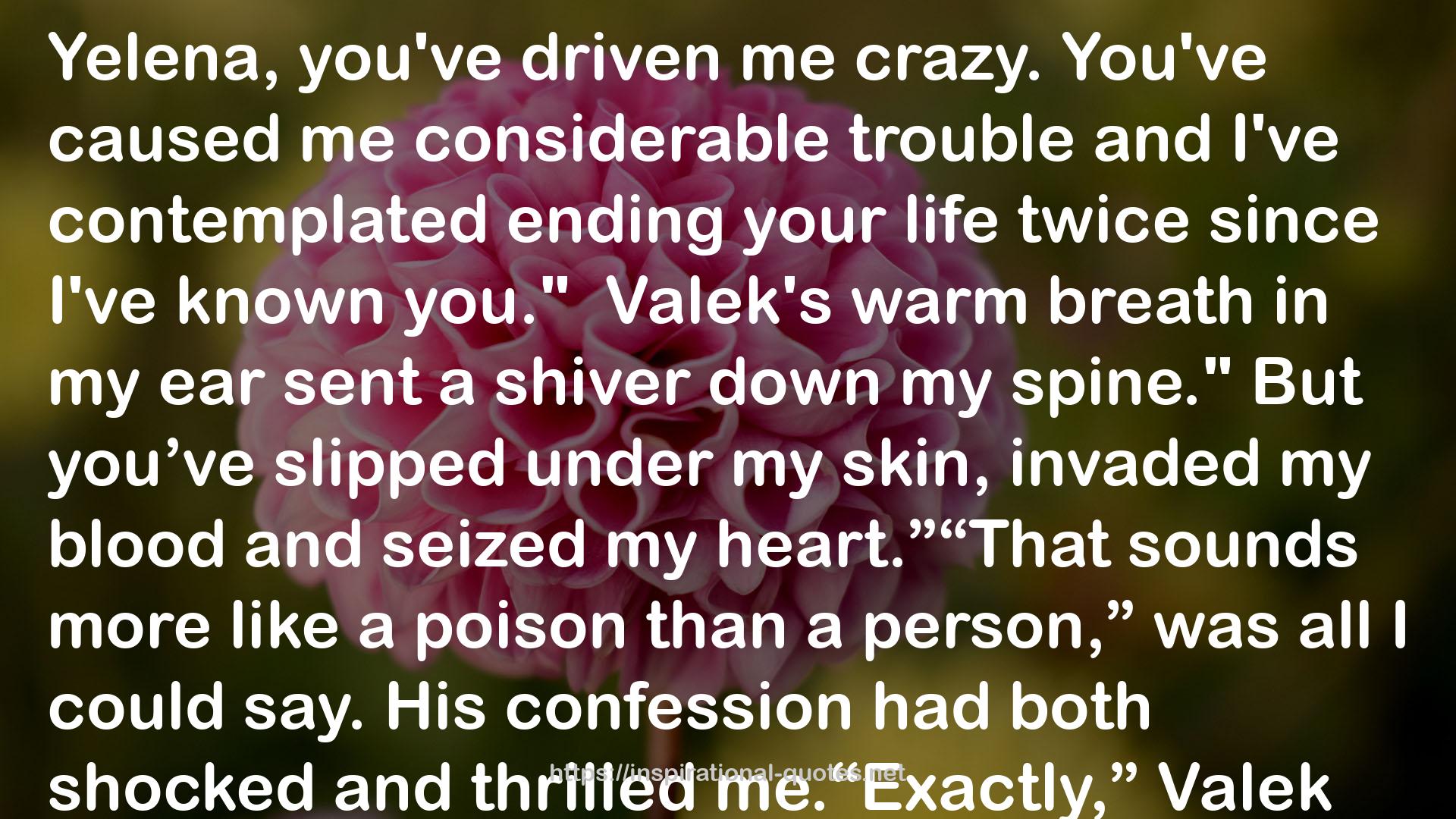 Valek  QUOTES